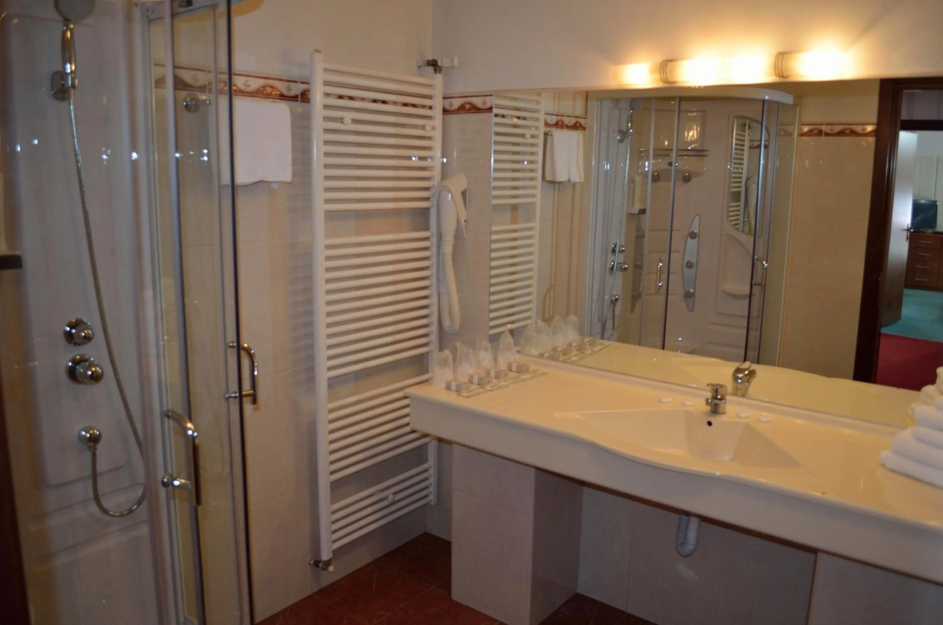 Bathroom in Hotel Rusu