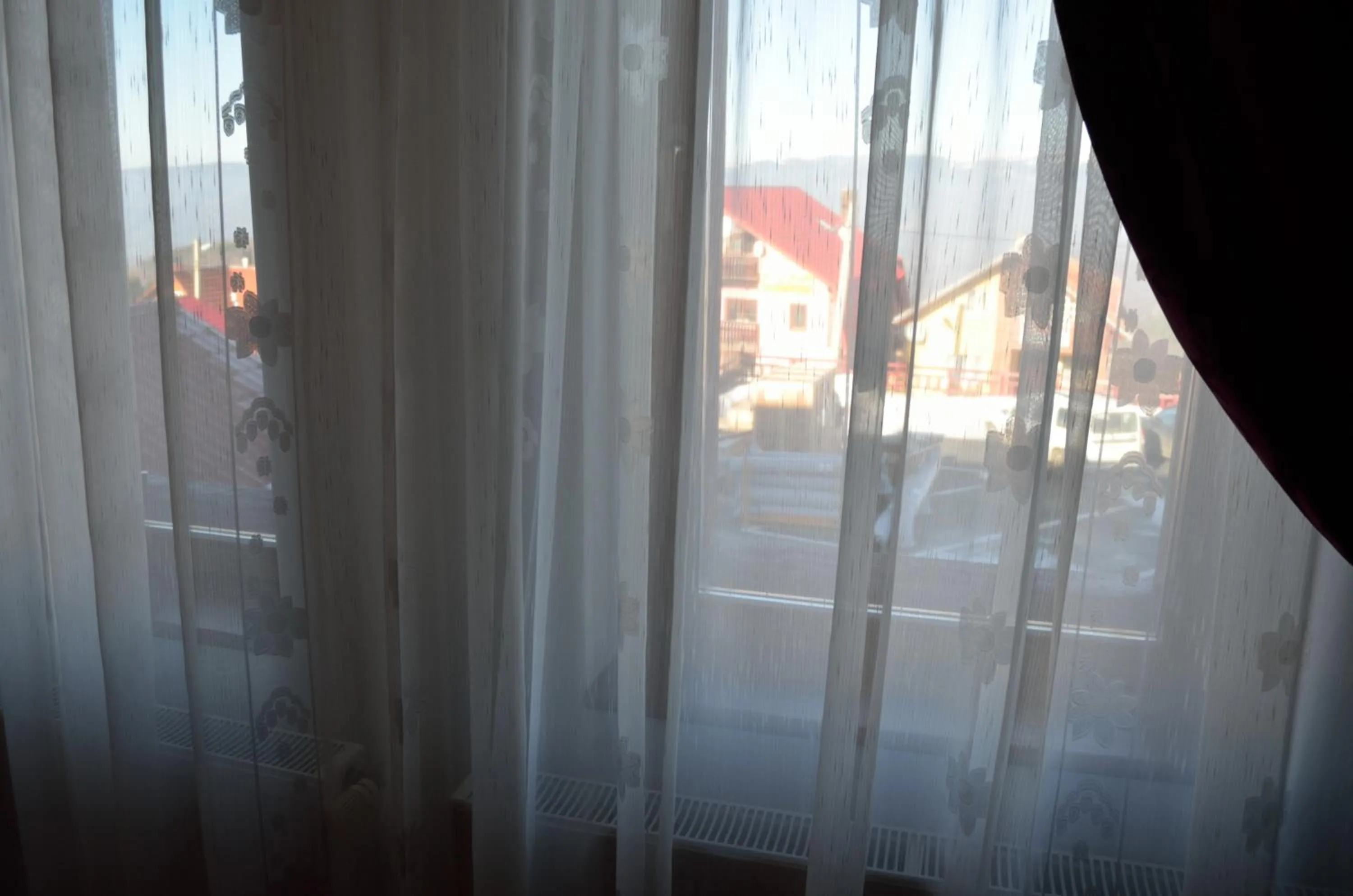 Natural landscape in Hotel Rusu