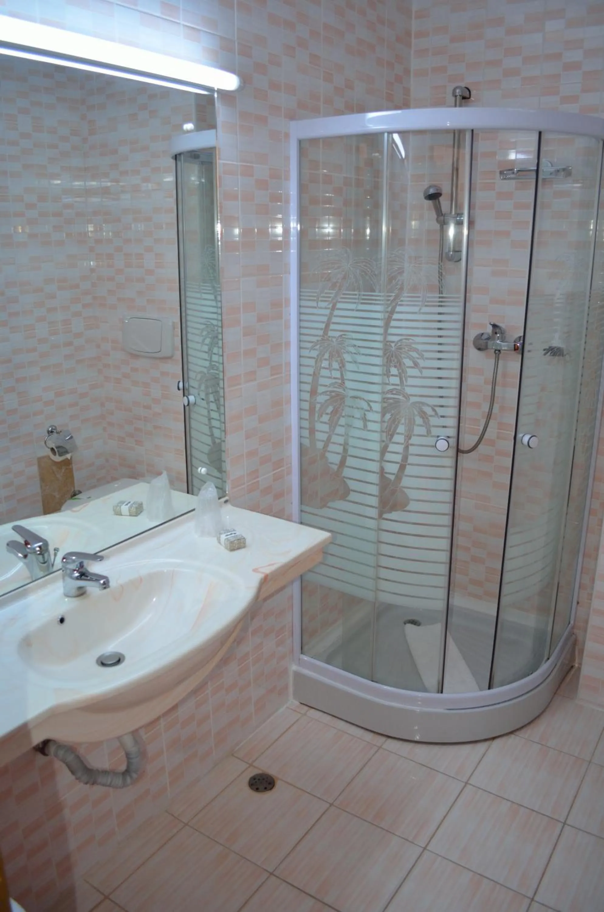 Shower in Hotel Rusu