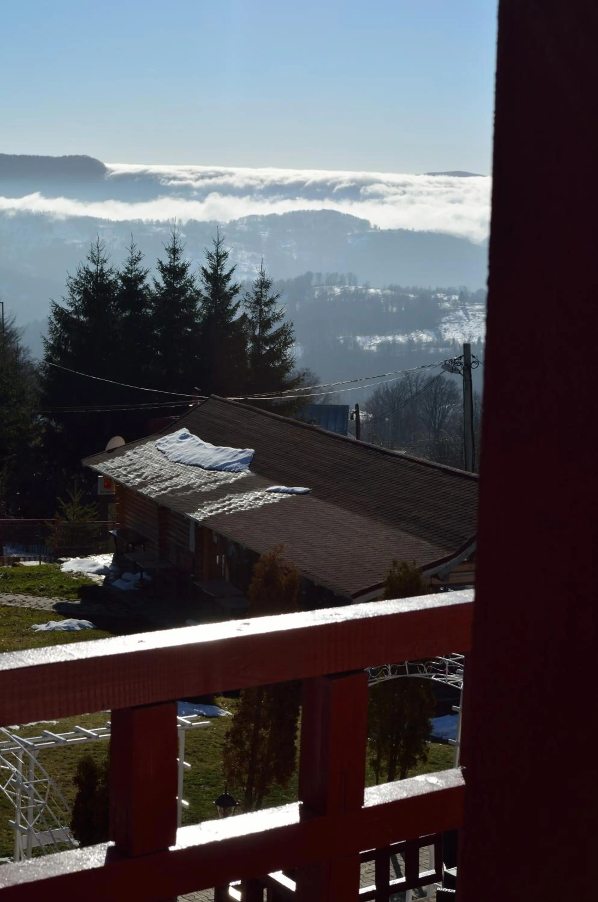 Photo of the whole room in Hotel Rusu