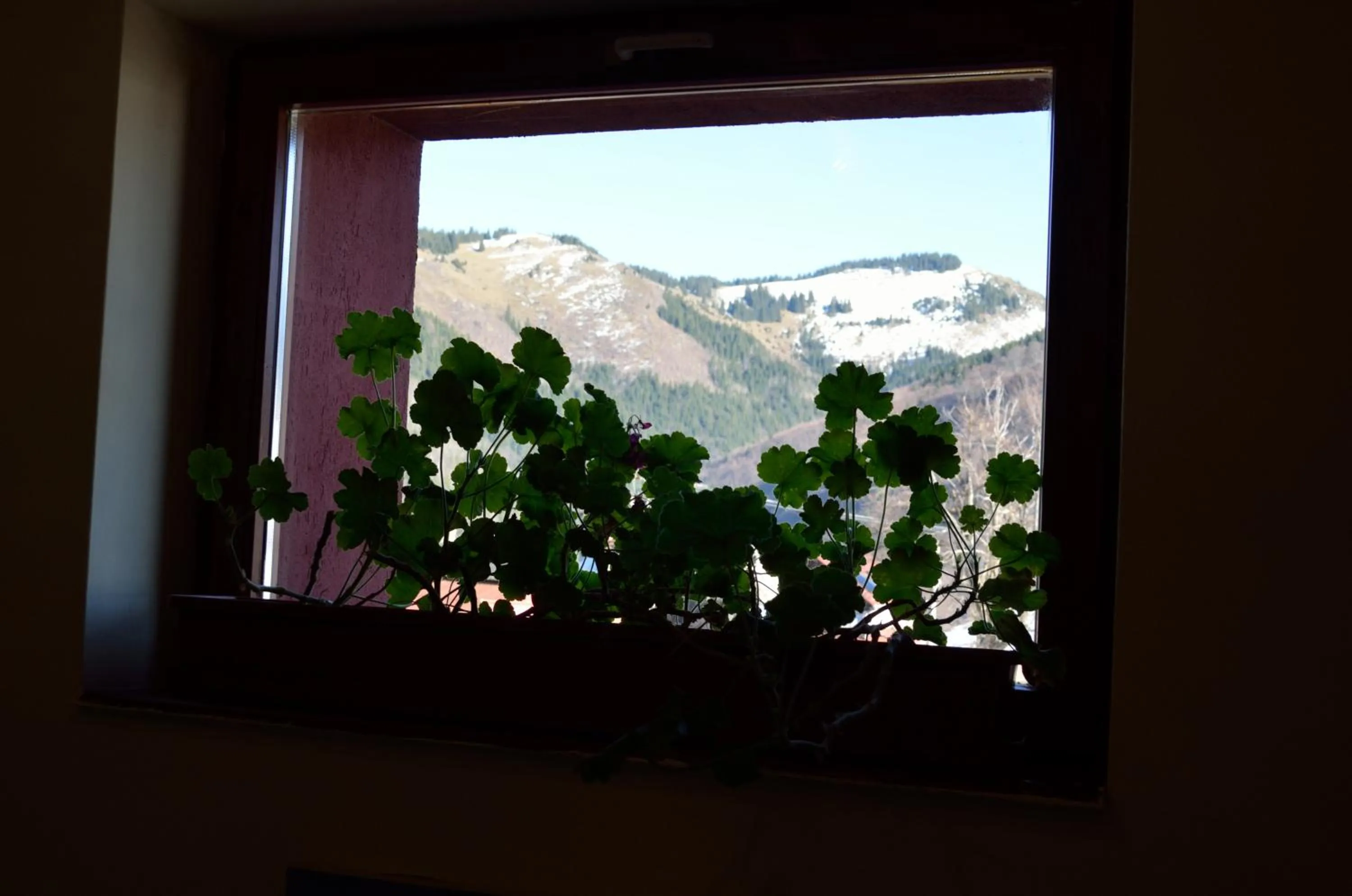 Mountain view in Hotel Rusu