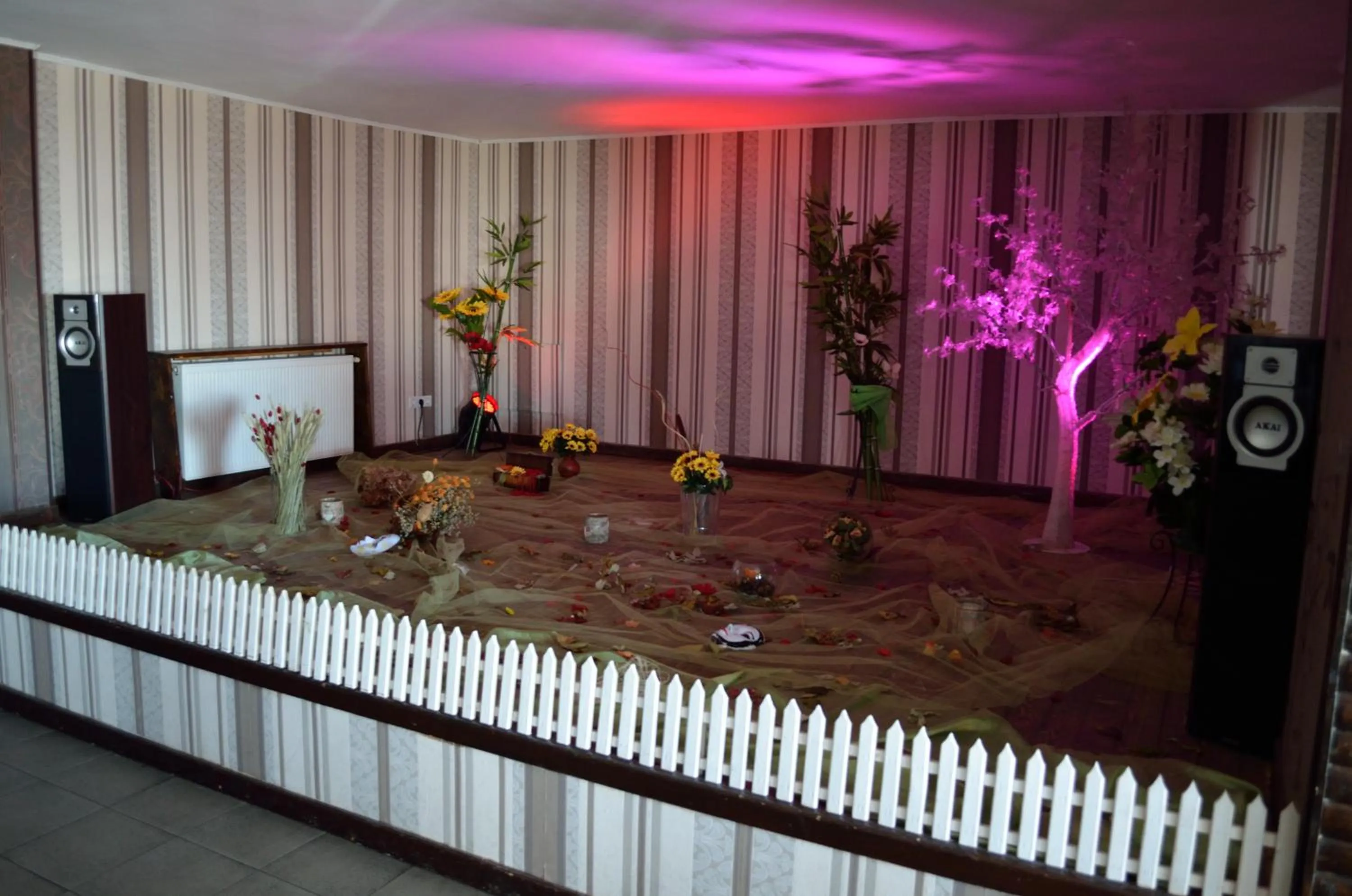 Banquet/Function facilities in Hotel Rusu