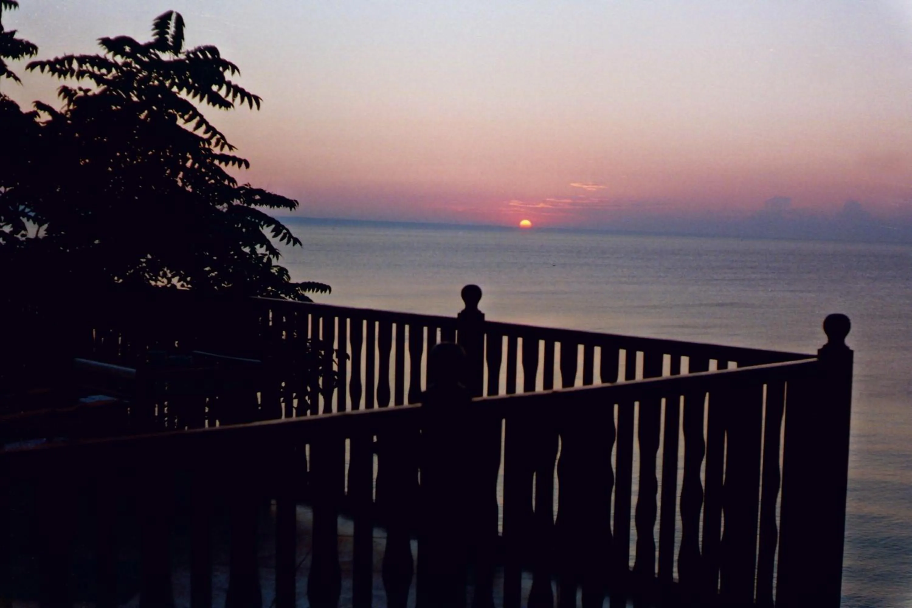 Sea view in Morski Briag Hotel