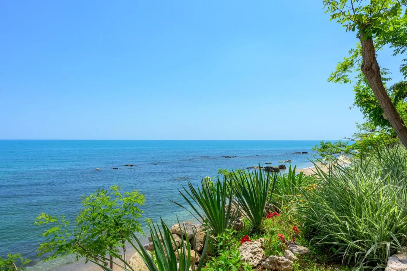 Natural landscape in Morski Briag Hotel