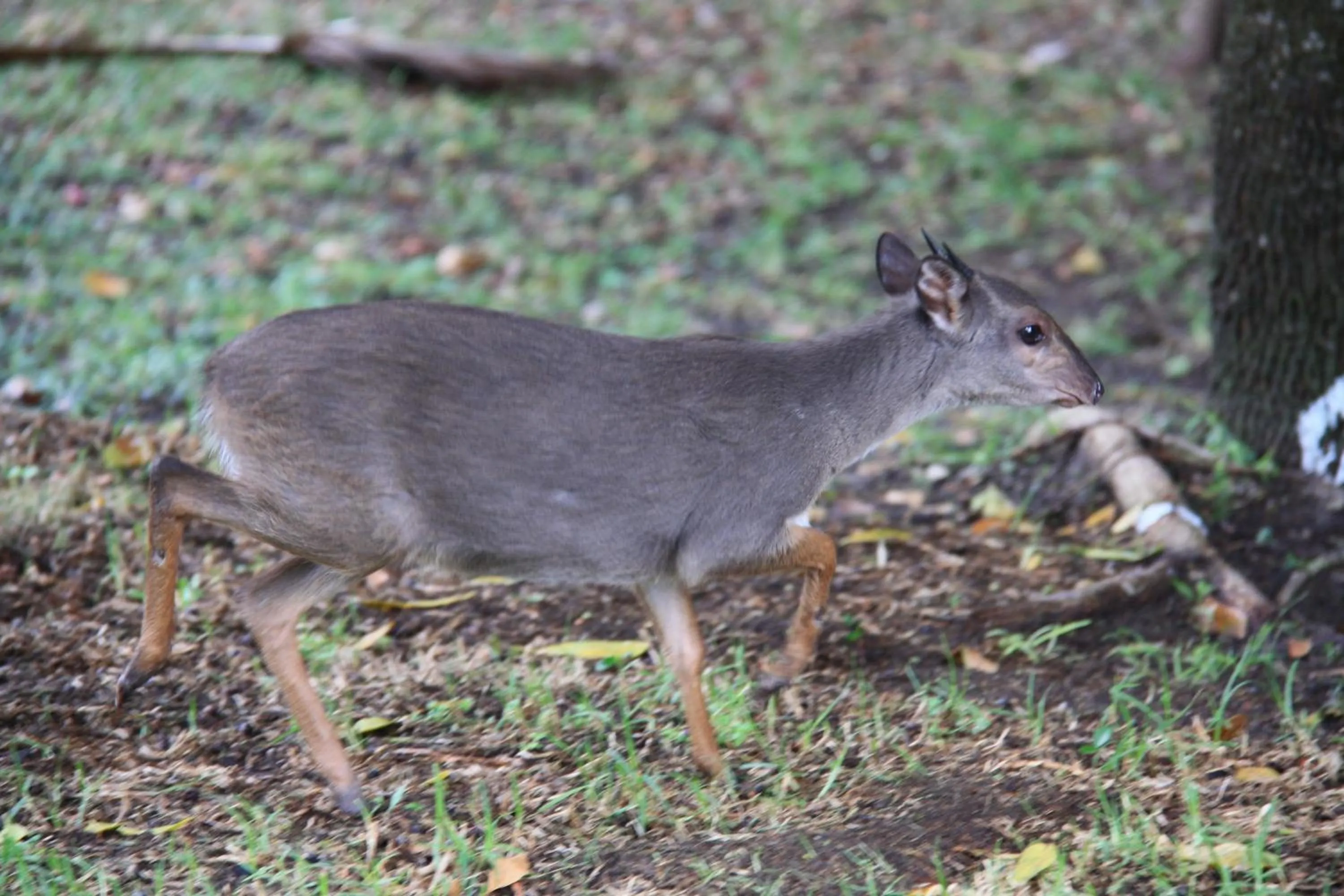 Day in Supertubes Guesthouse