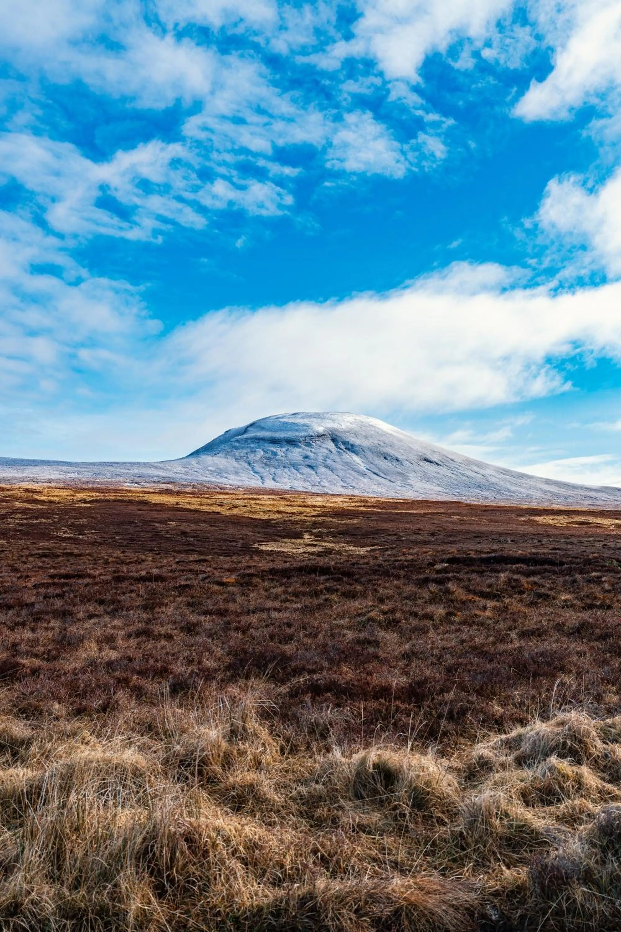 Nearby landmark in Garvault House