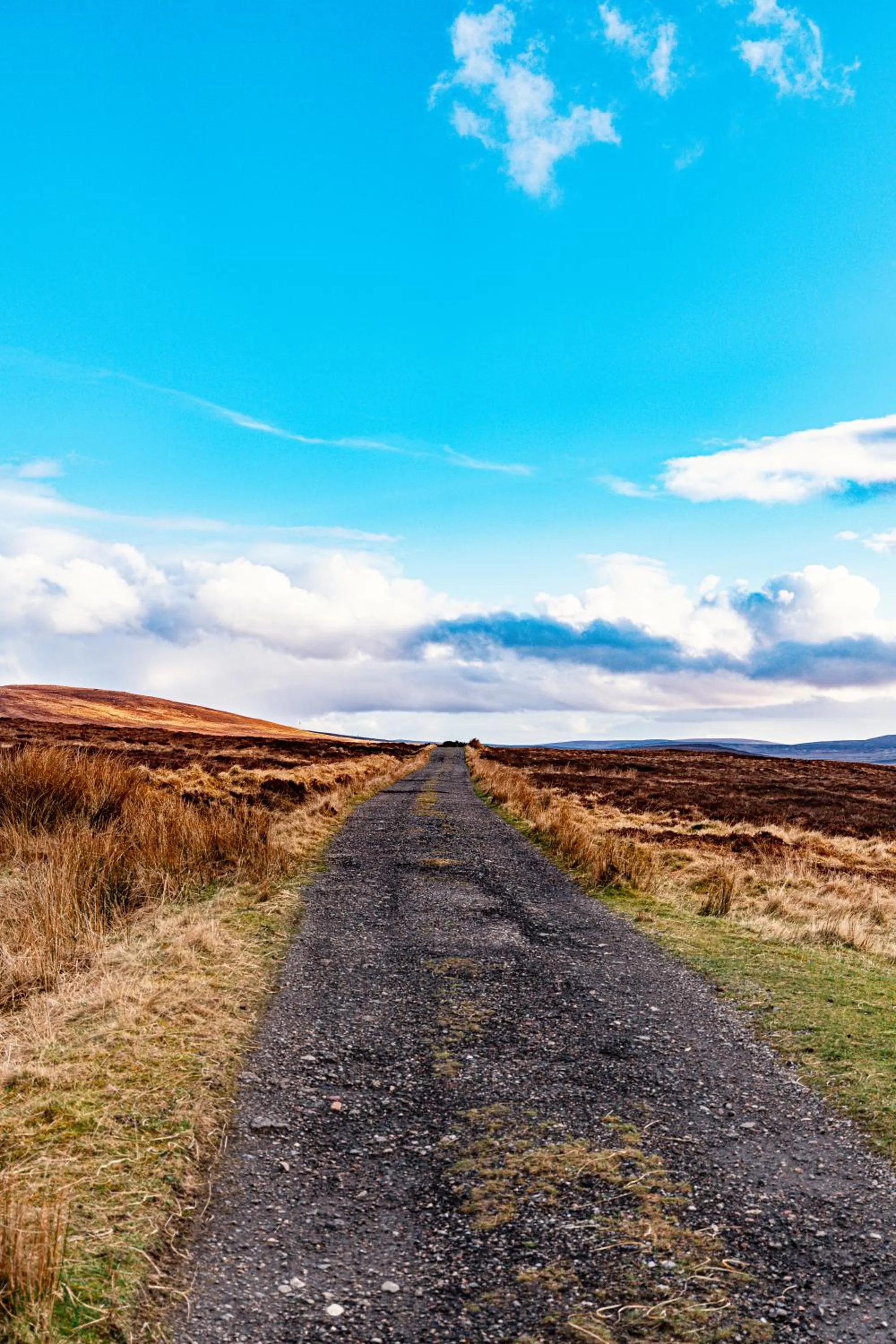 Day in Garvault House