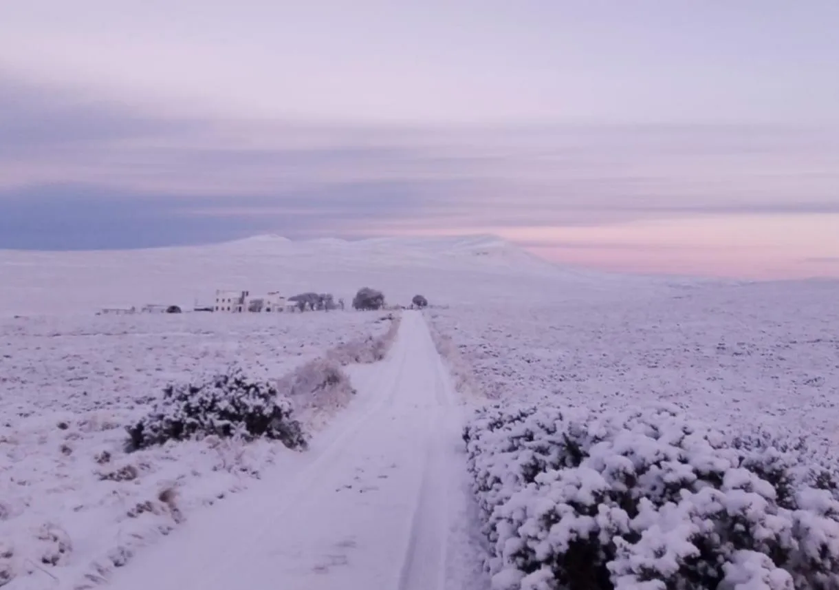 Day in Garvault House