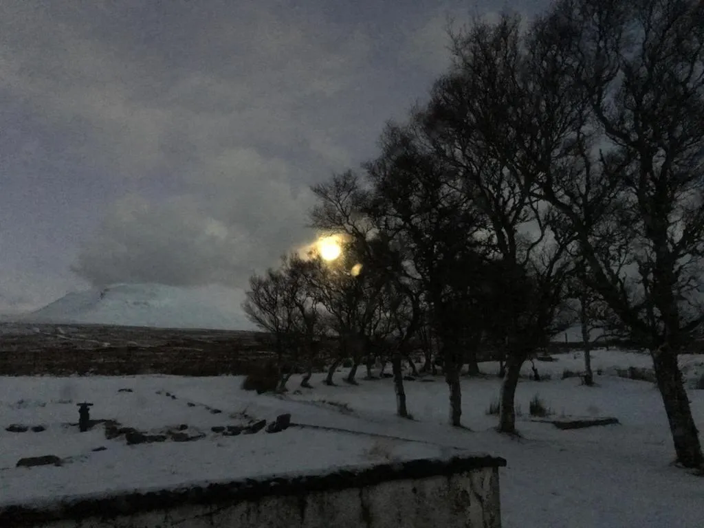 Natural landscape in Garvault House