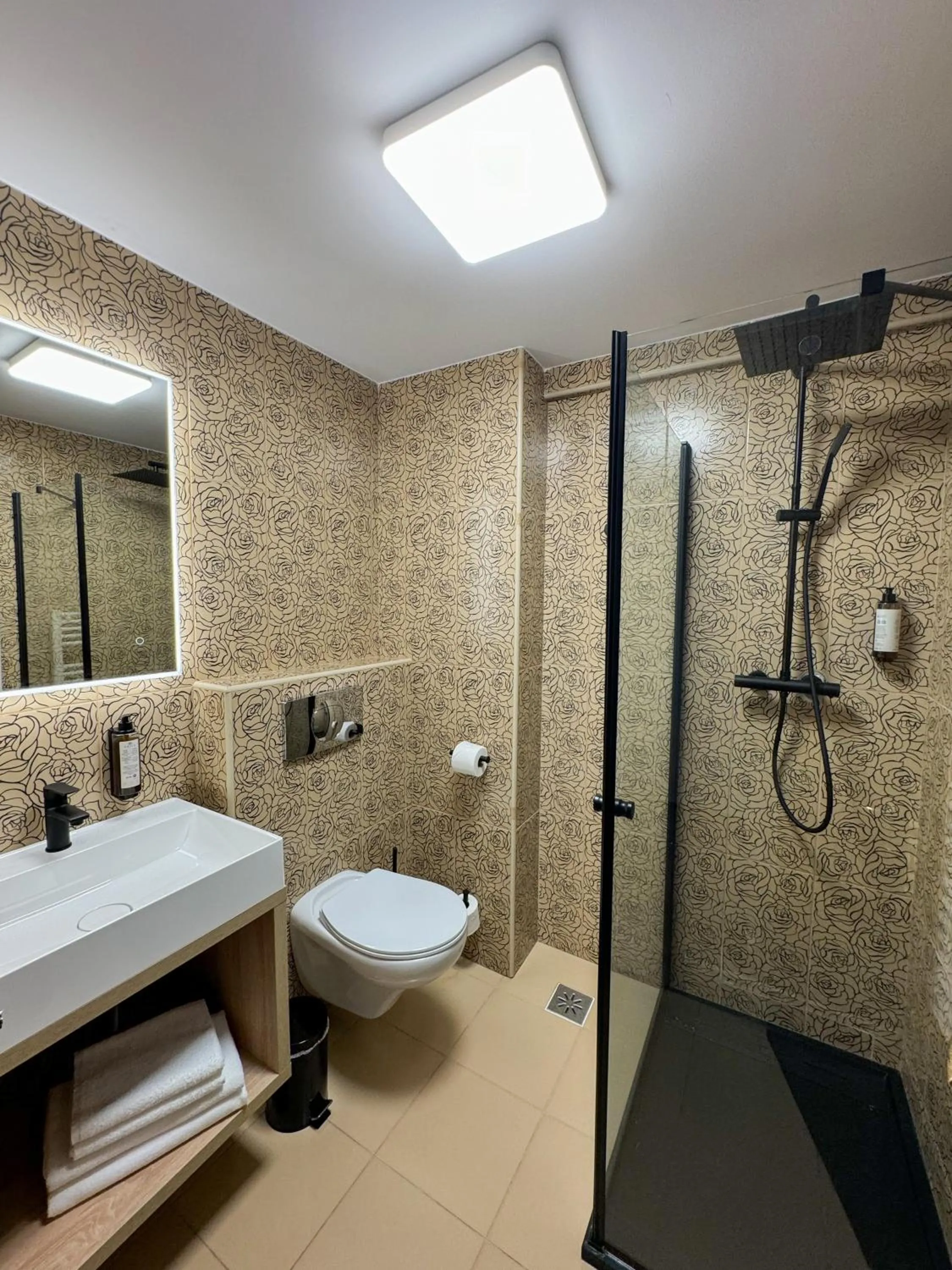 Shower in Hotel FAN Sebes