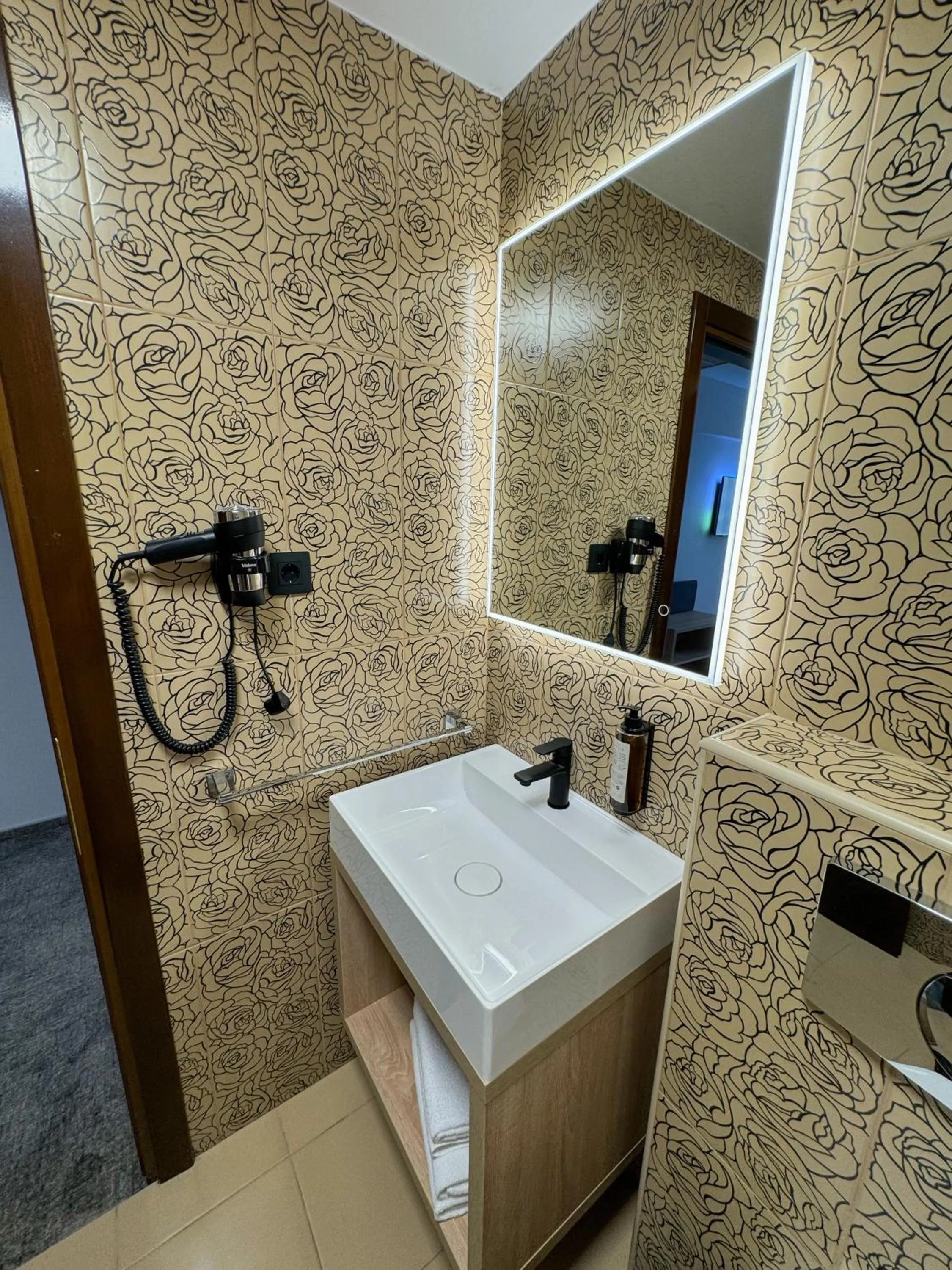 Shower in Hotel FAN Sebes