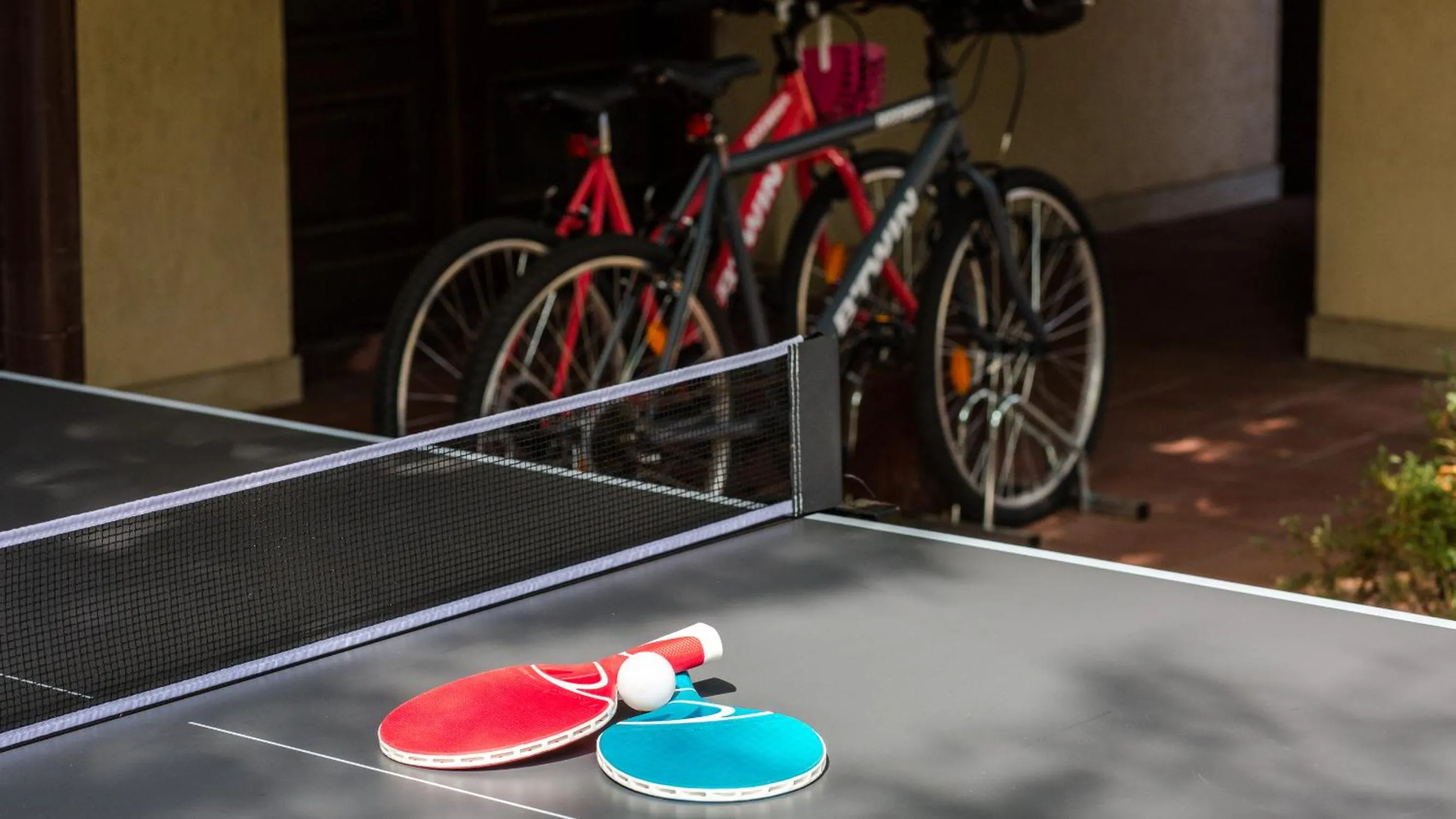 Table tennis in Hotel Herastrau