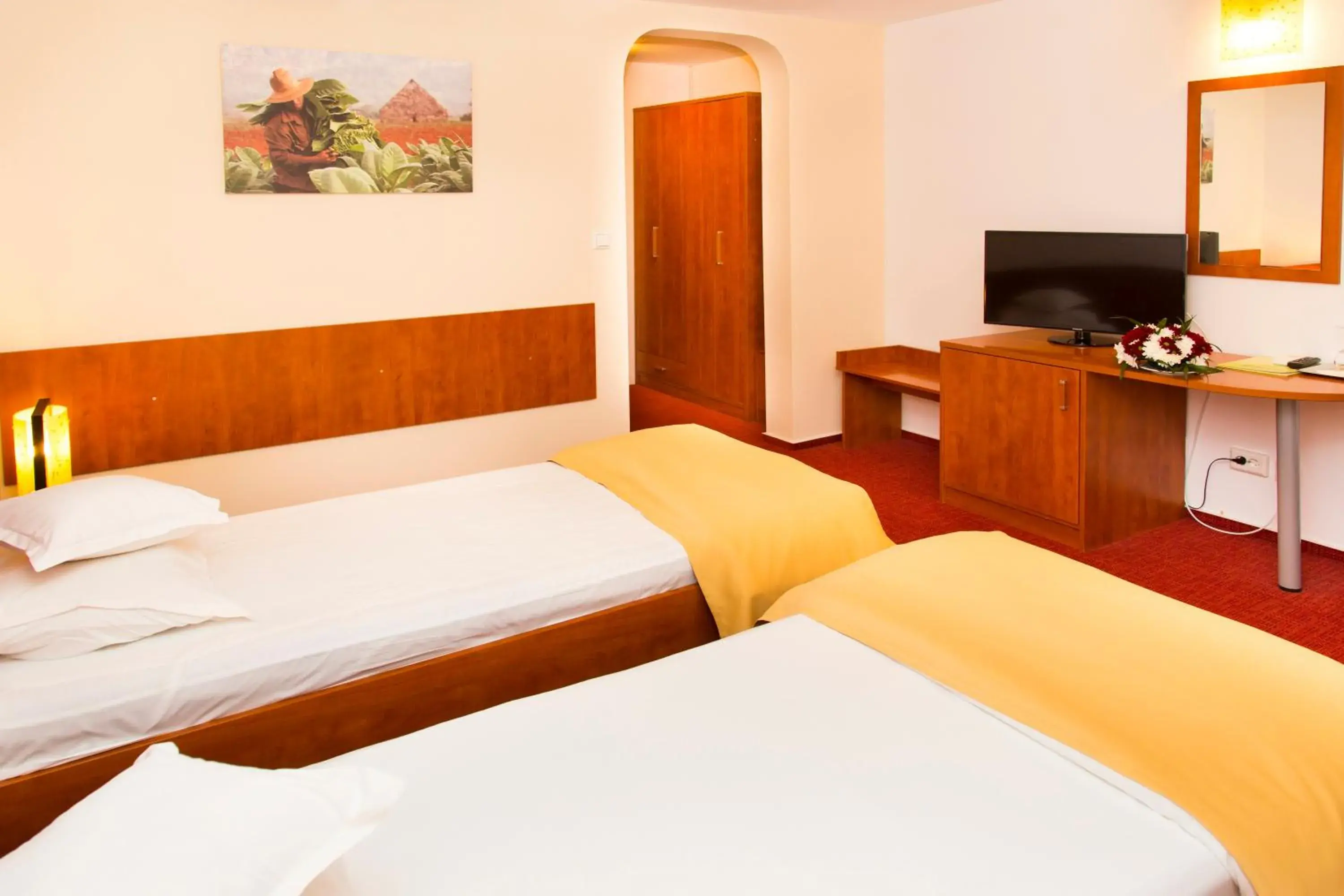 Standard Twin Room in Hotel Herastrau Standard Twin Room in Hotel Herastrau