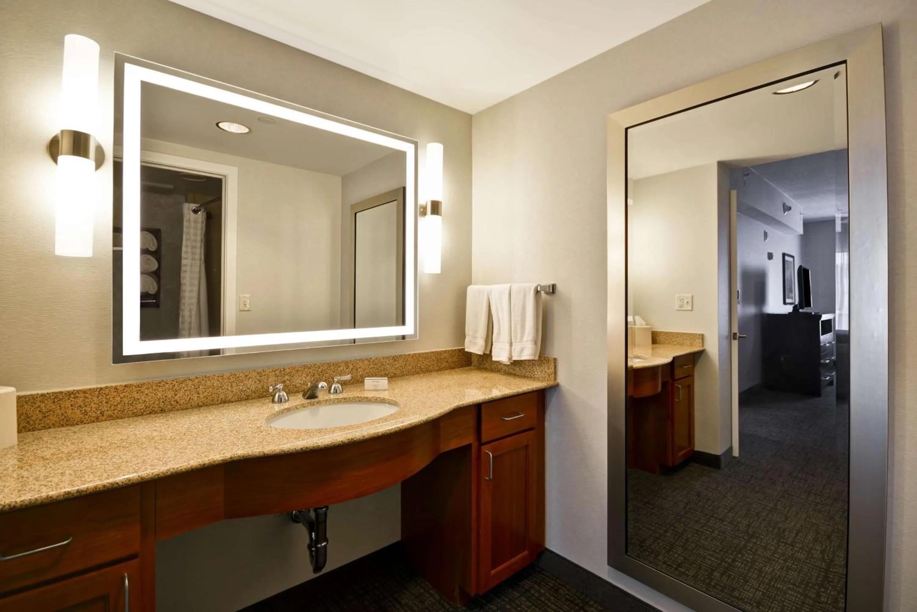 Bathroom in Homewood Suites by Hilton Ithaca