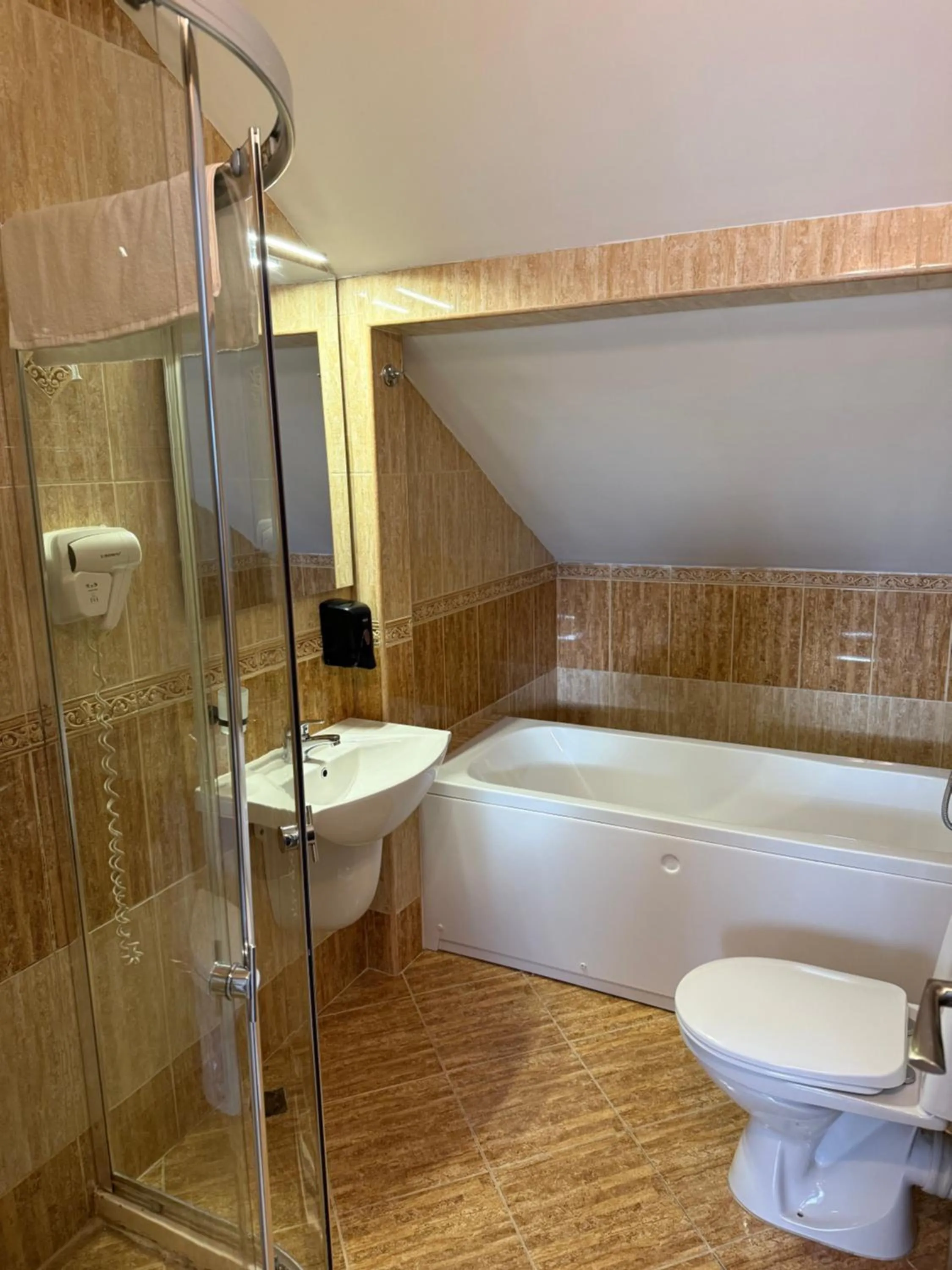 Shower in Hotel Aris