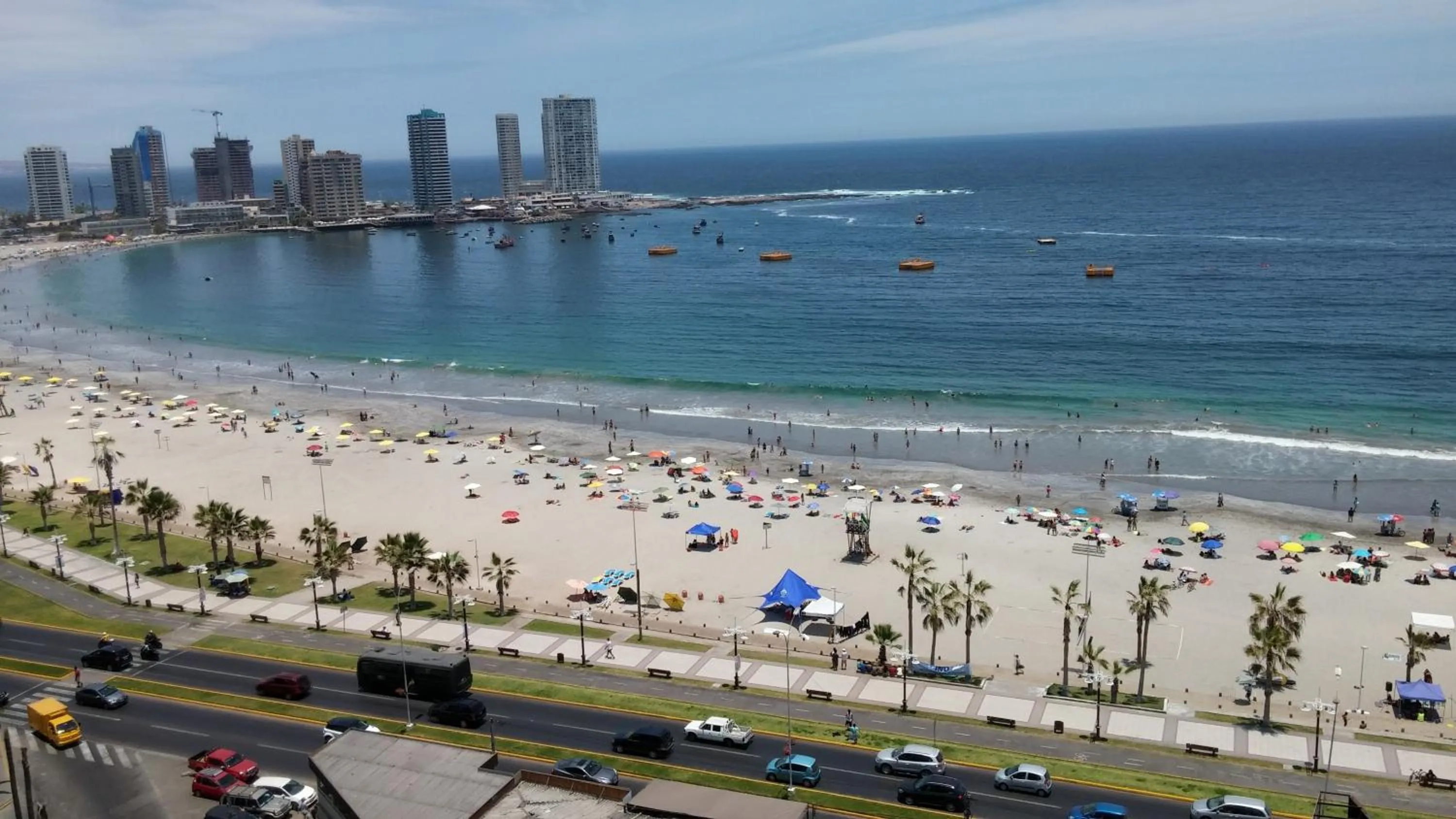 Natural landscape in Gran Cavancha Suite