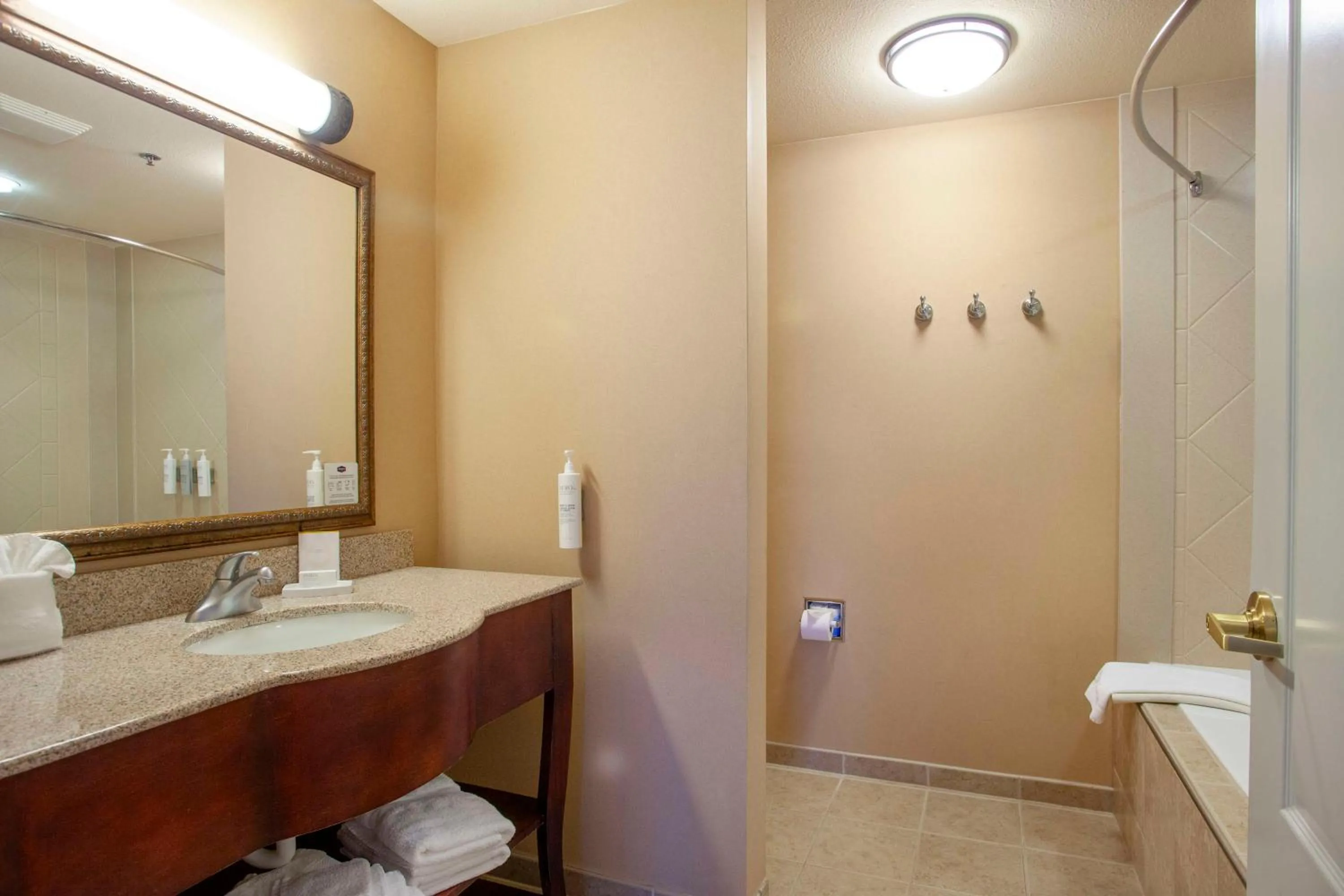 Bathroom in Hampton Inn & Suites Mountain Home