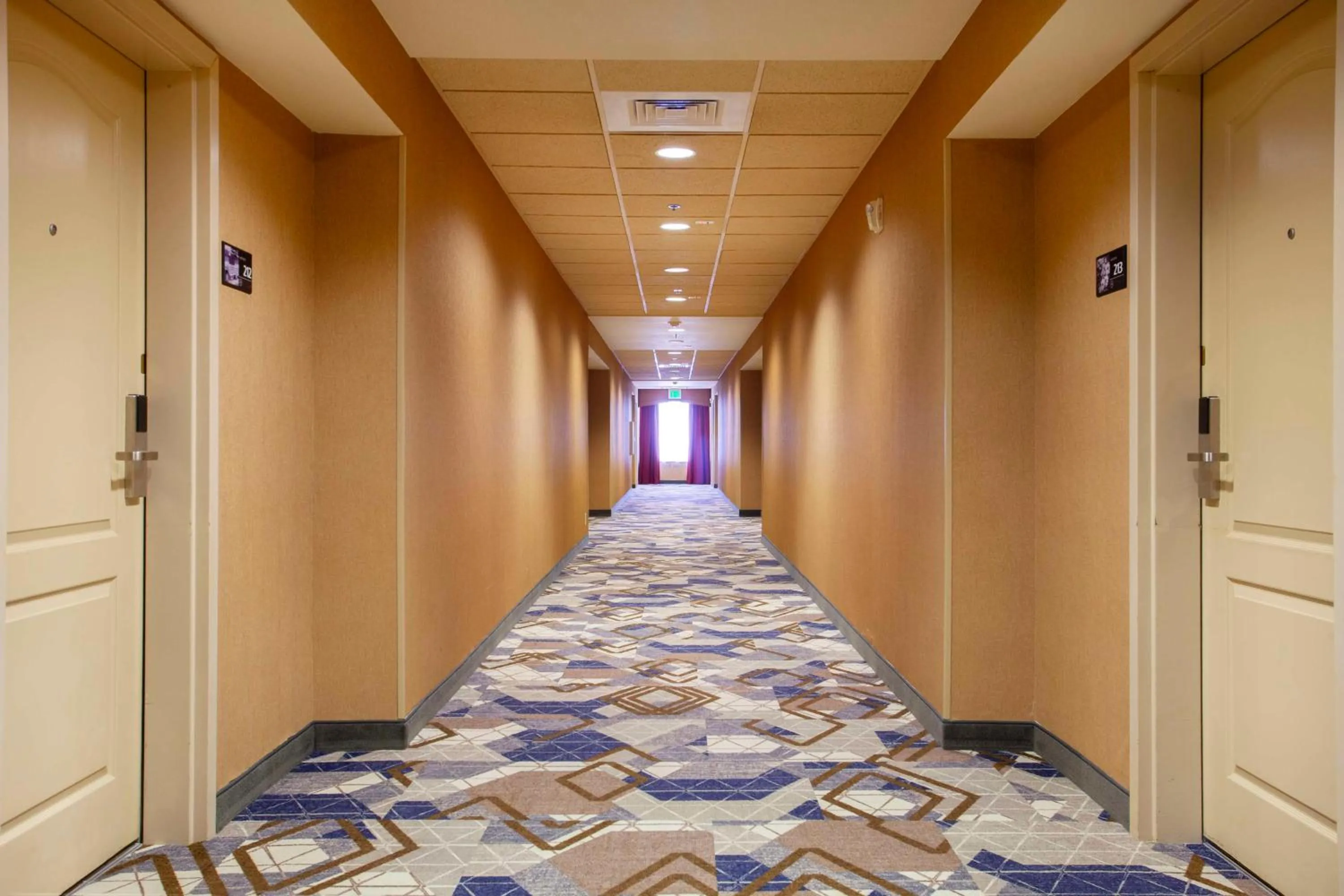 Photo of the whole room in Hampton Inn & Suites Mountain Home