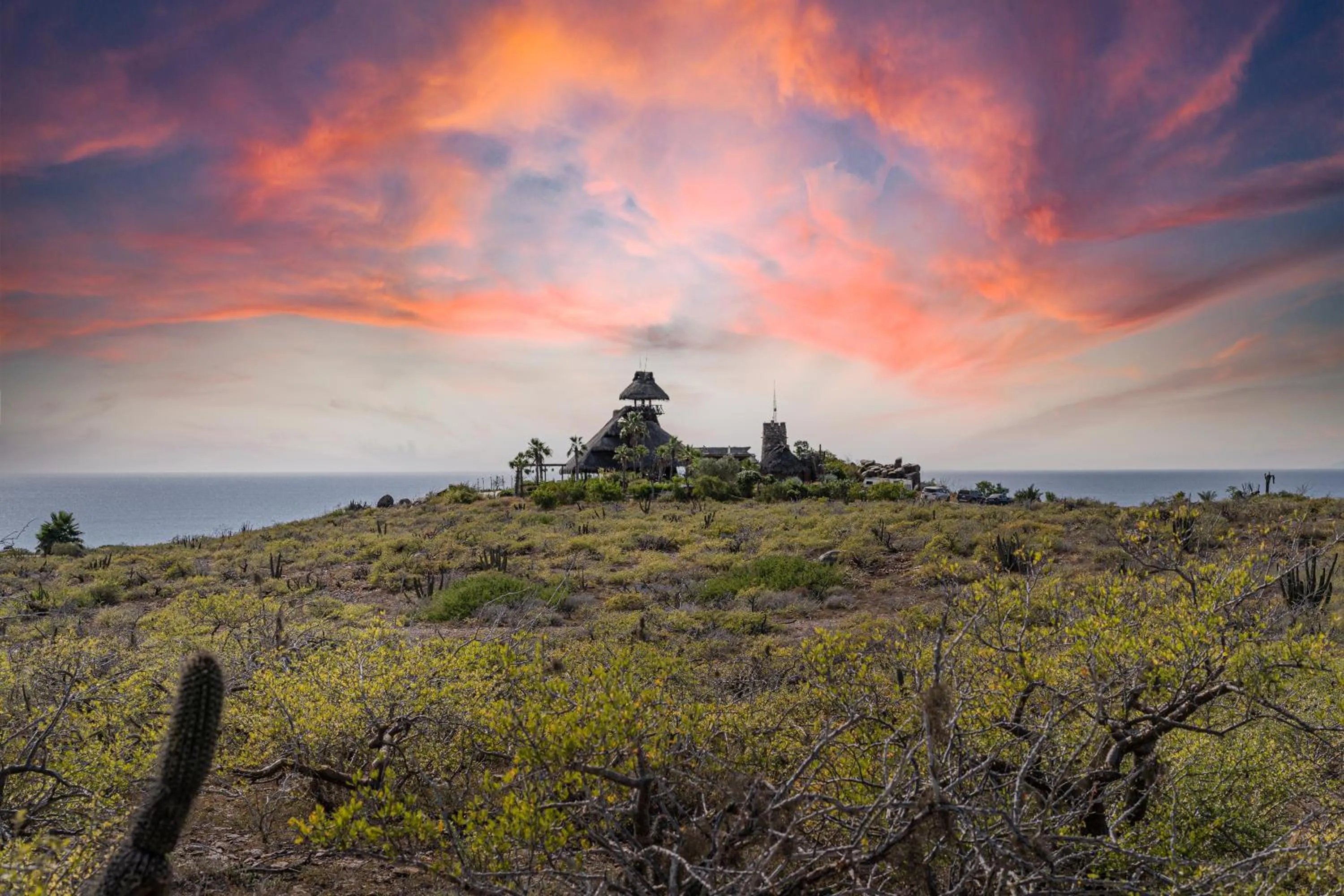 Restaurant/places to eat in Guaycura Boutique Hotel, Beach Club & Spa