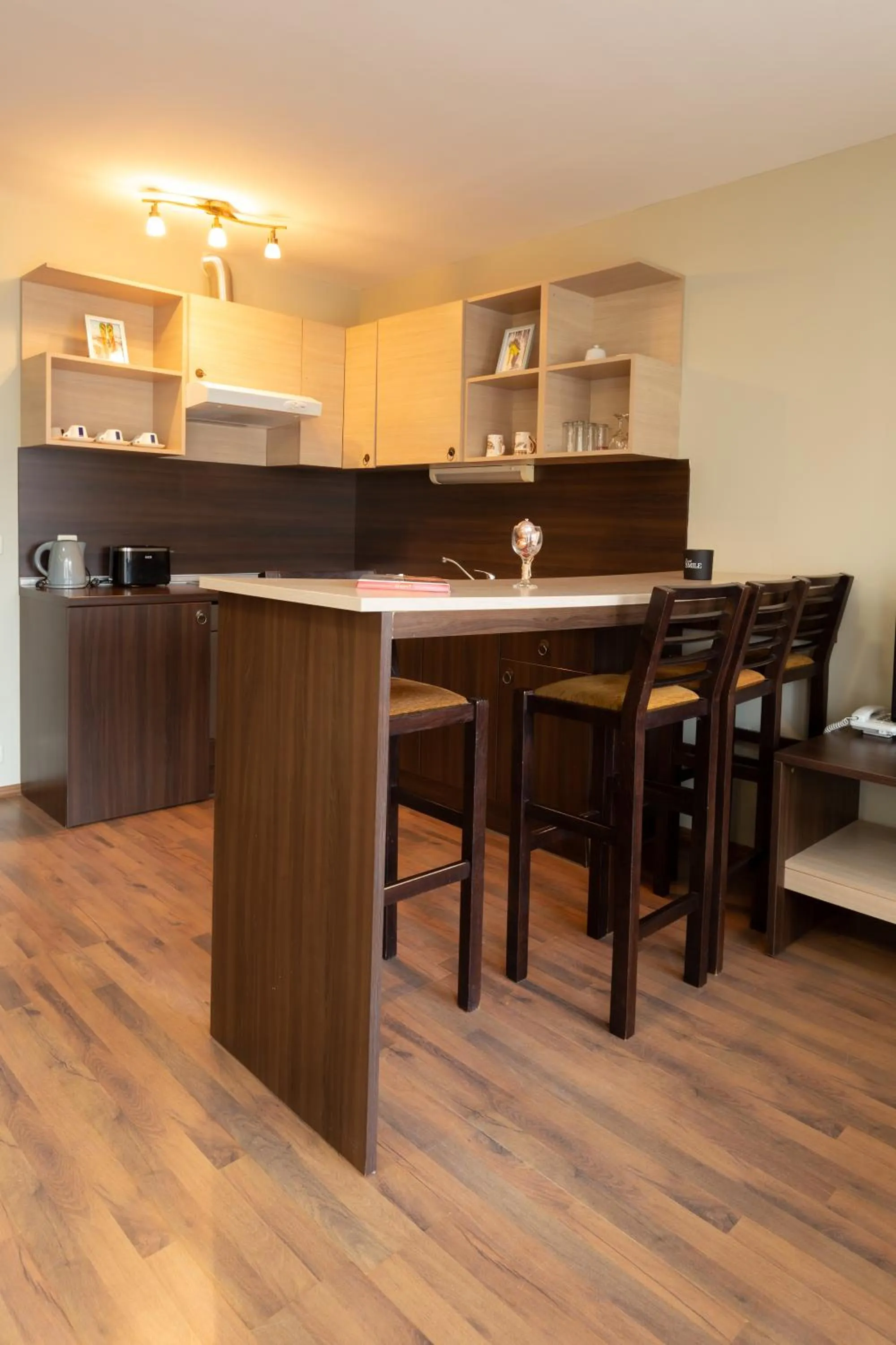 Kitchen or kitchenette in Apart Hotel Dream