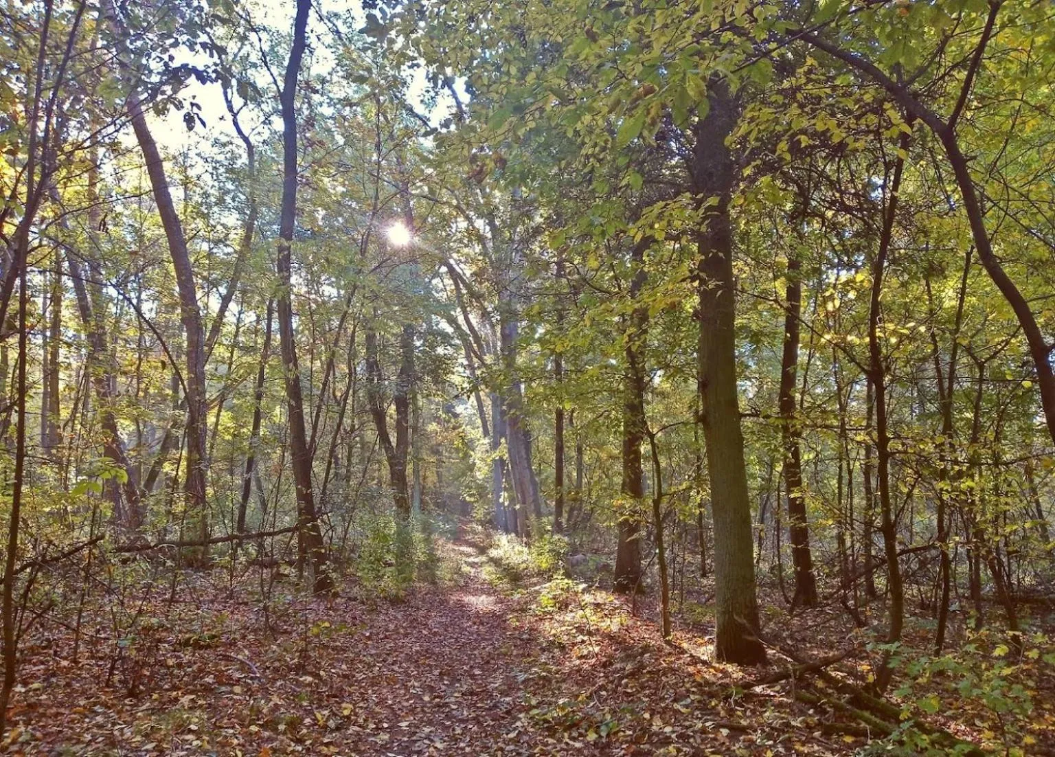 Nearby landmark in GLAMOUR - Restaurant & SPA