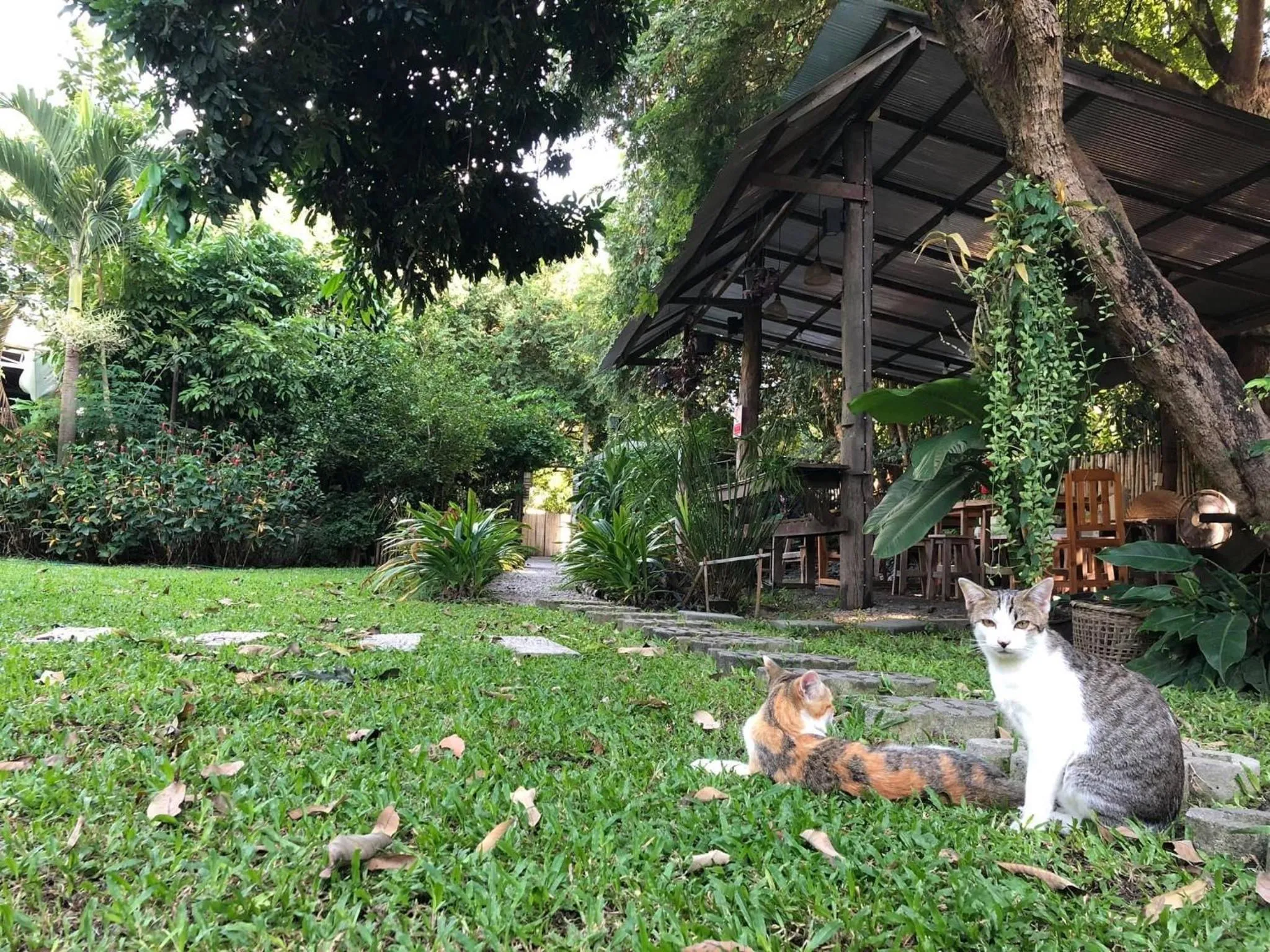 Lanna House Lanna Hut Chiangmai