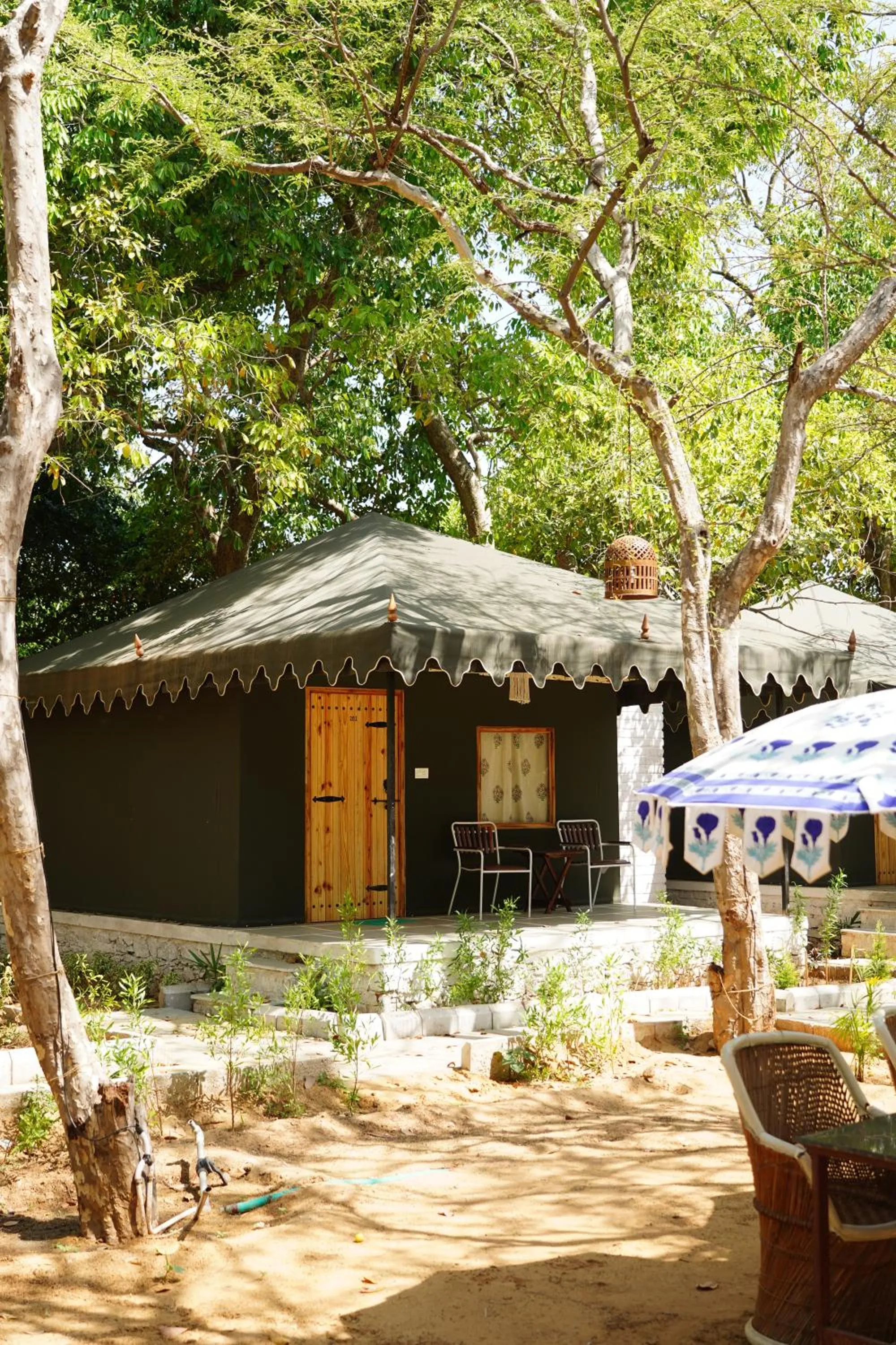 Patio in Heli Pushkar