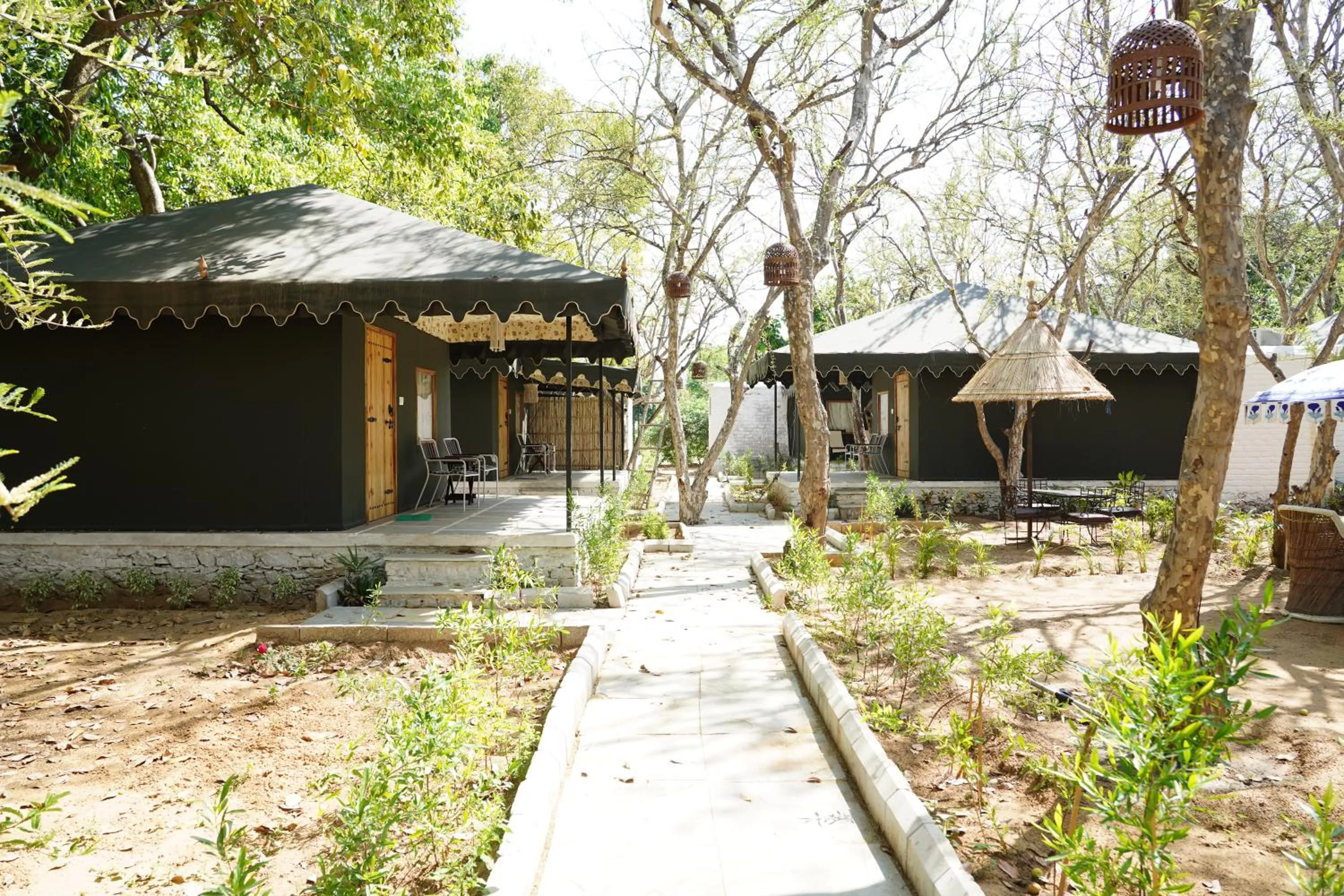 Spring in Heli Pushkar