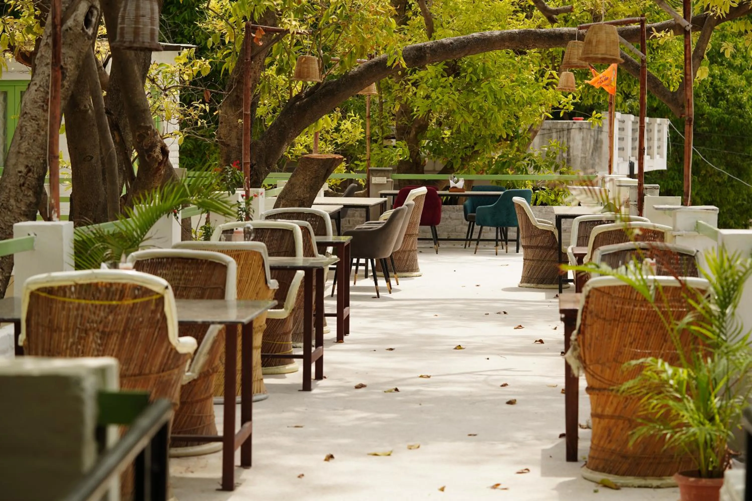 Restaurant/places to eat in Heli Pushkar