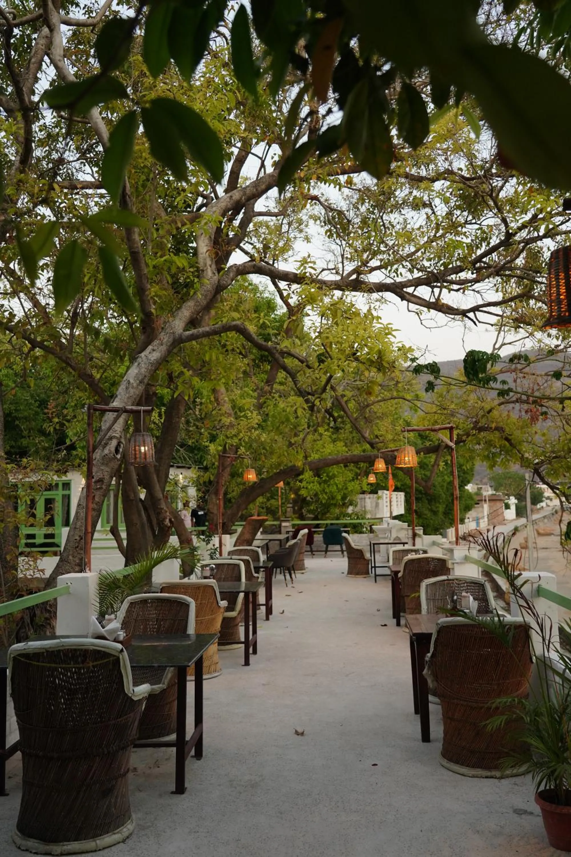Restaurant/places to eat in Heli Pushkar