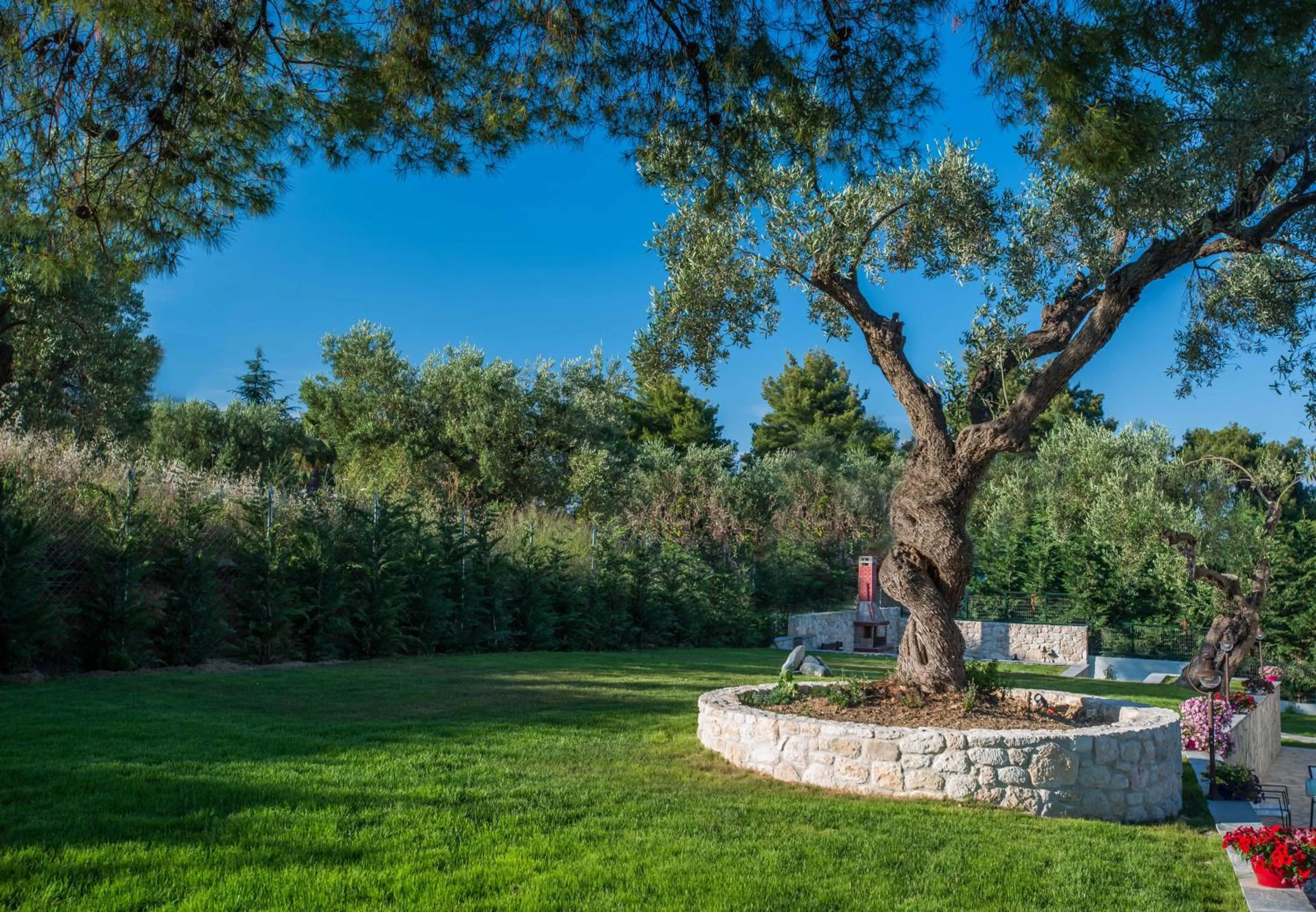 Property building in Mirabilia Boutique Hotel