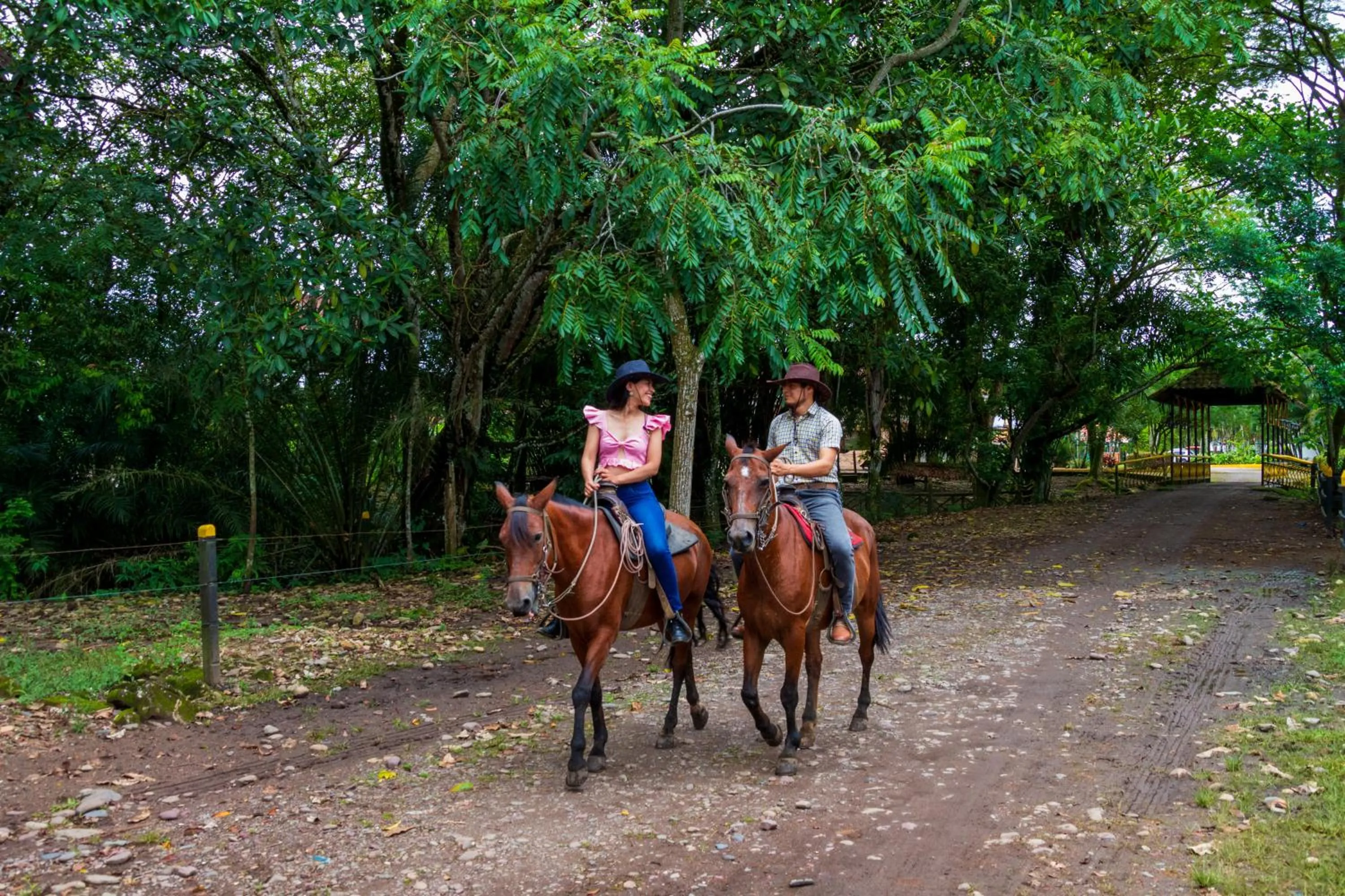 Animals in Hotel Campestre La Potra
