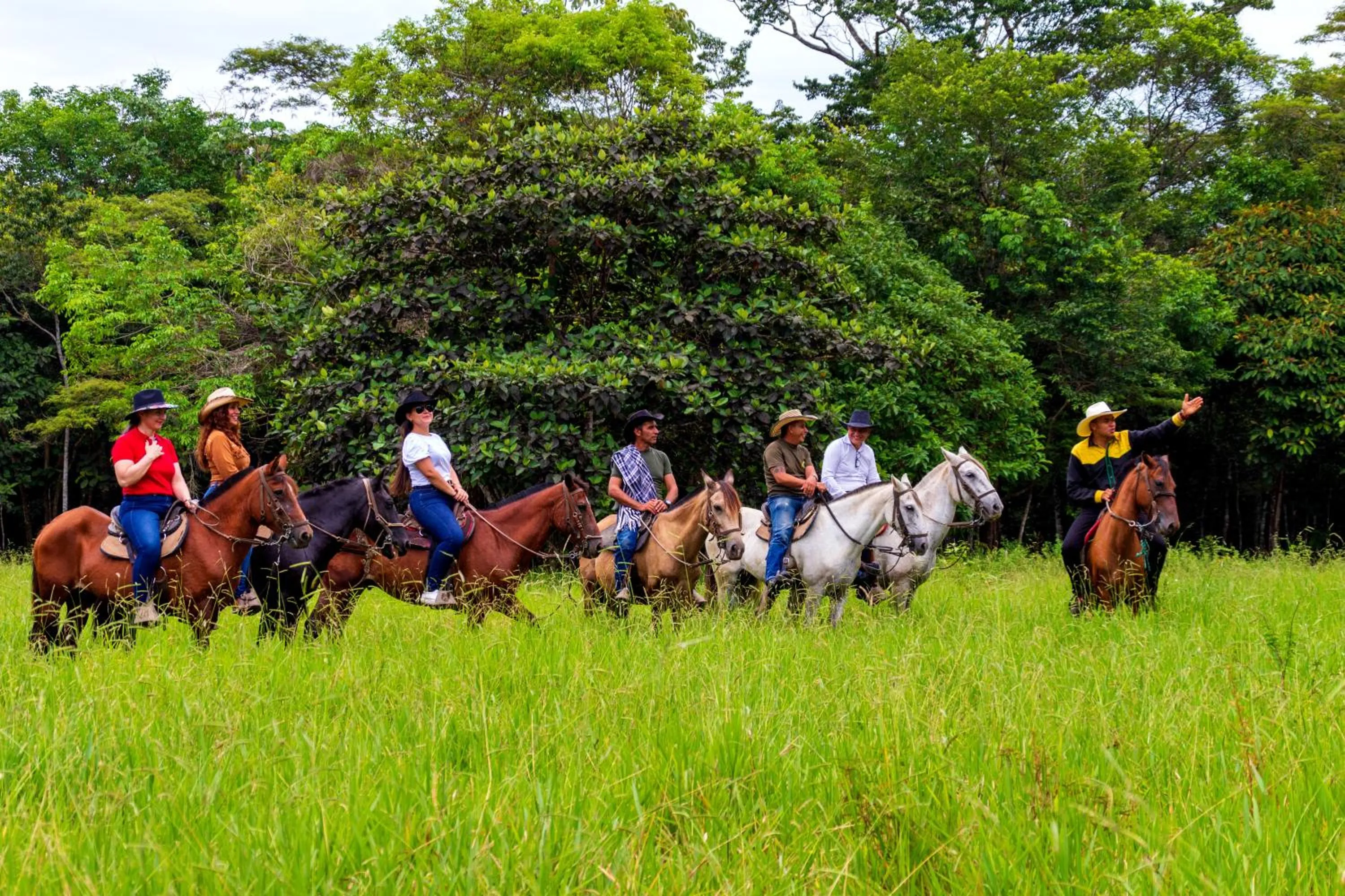 Animals in Hotel Campestre La Potra