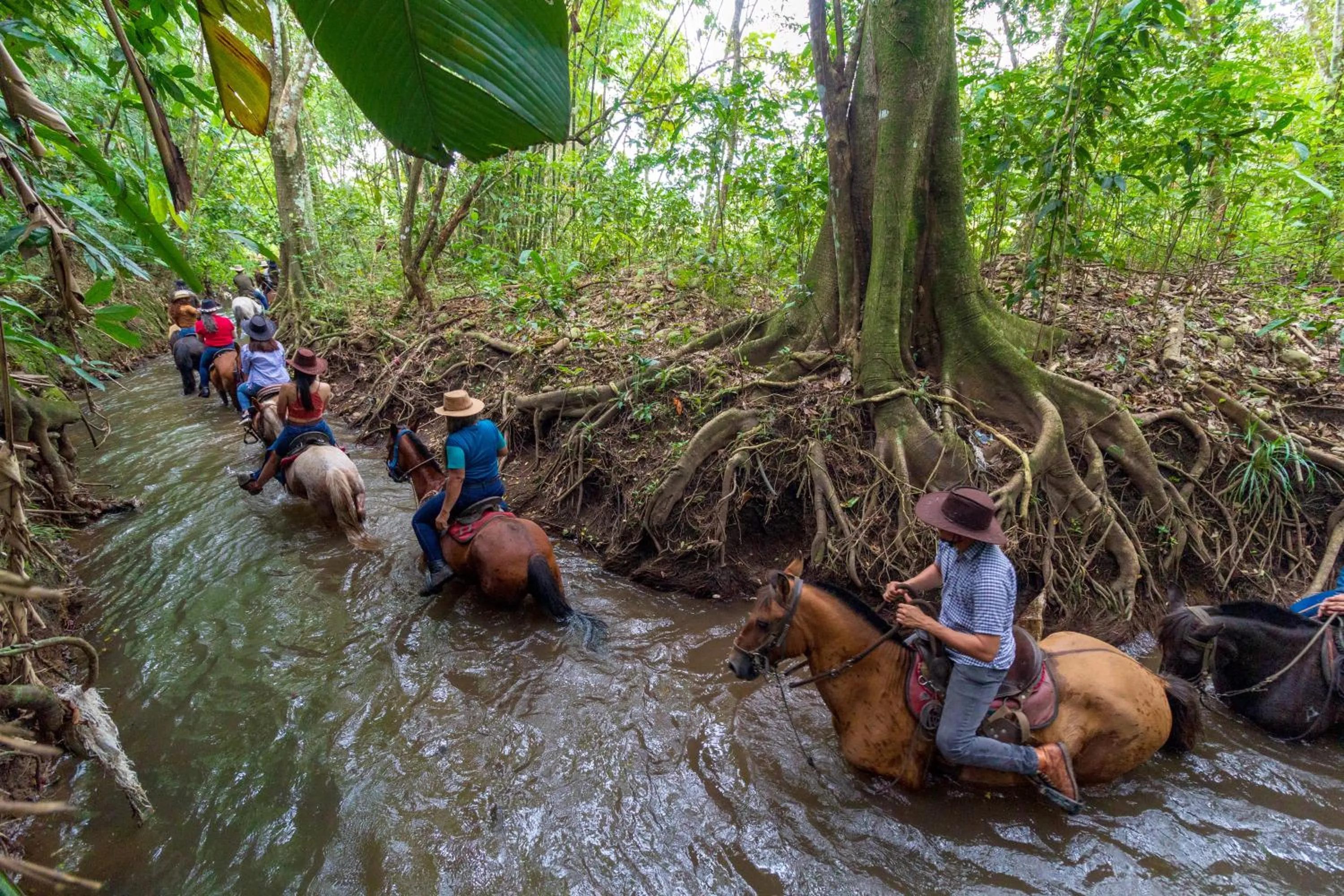 Animals in Hotel Campestre La Potra