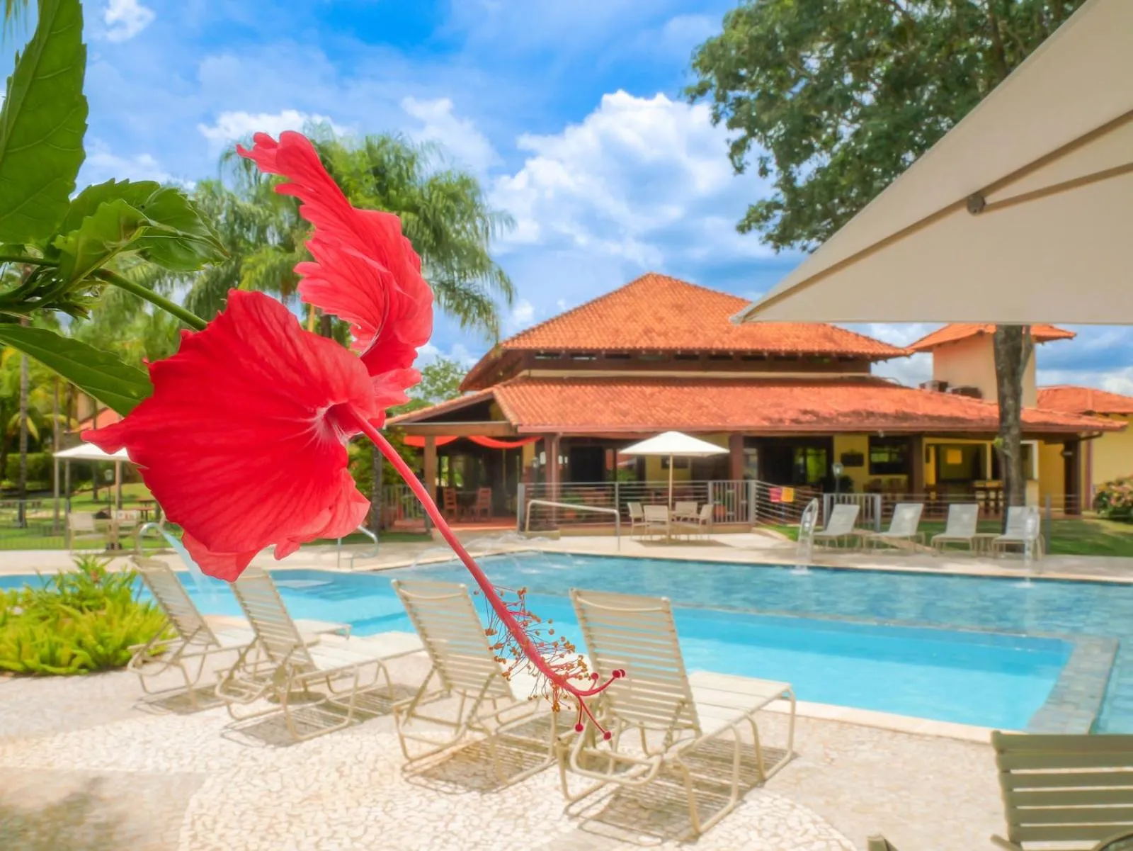 Swimming pool in Hotel Pousada Águas de Bonito