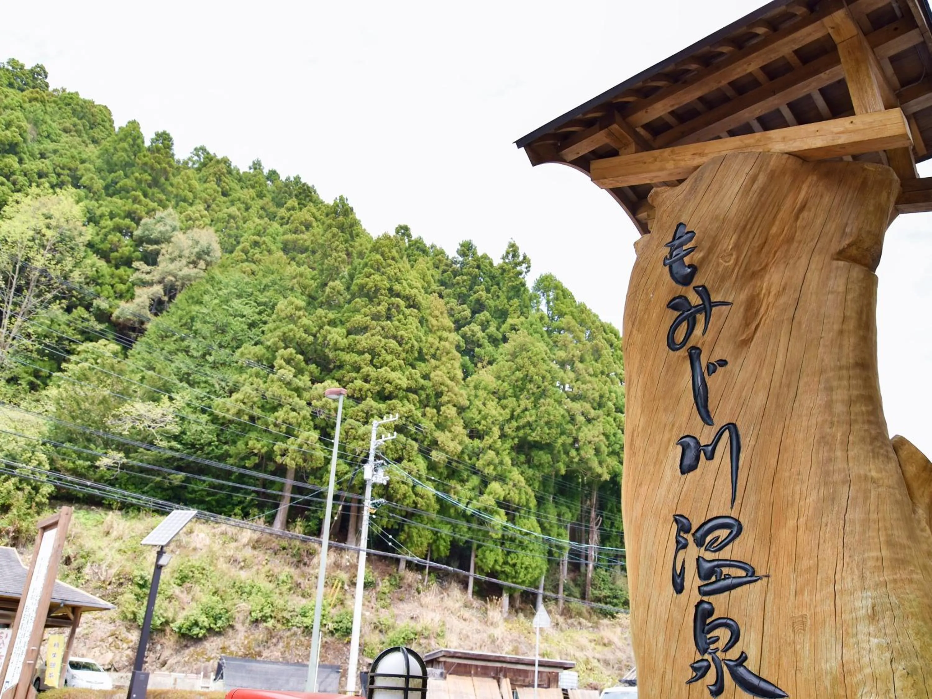 Property building in momijigawa onsen