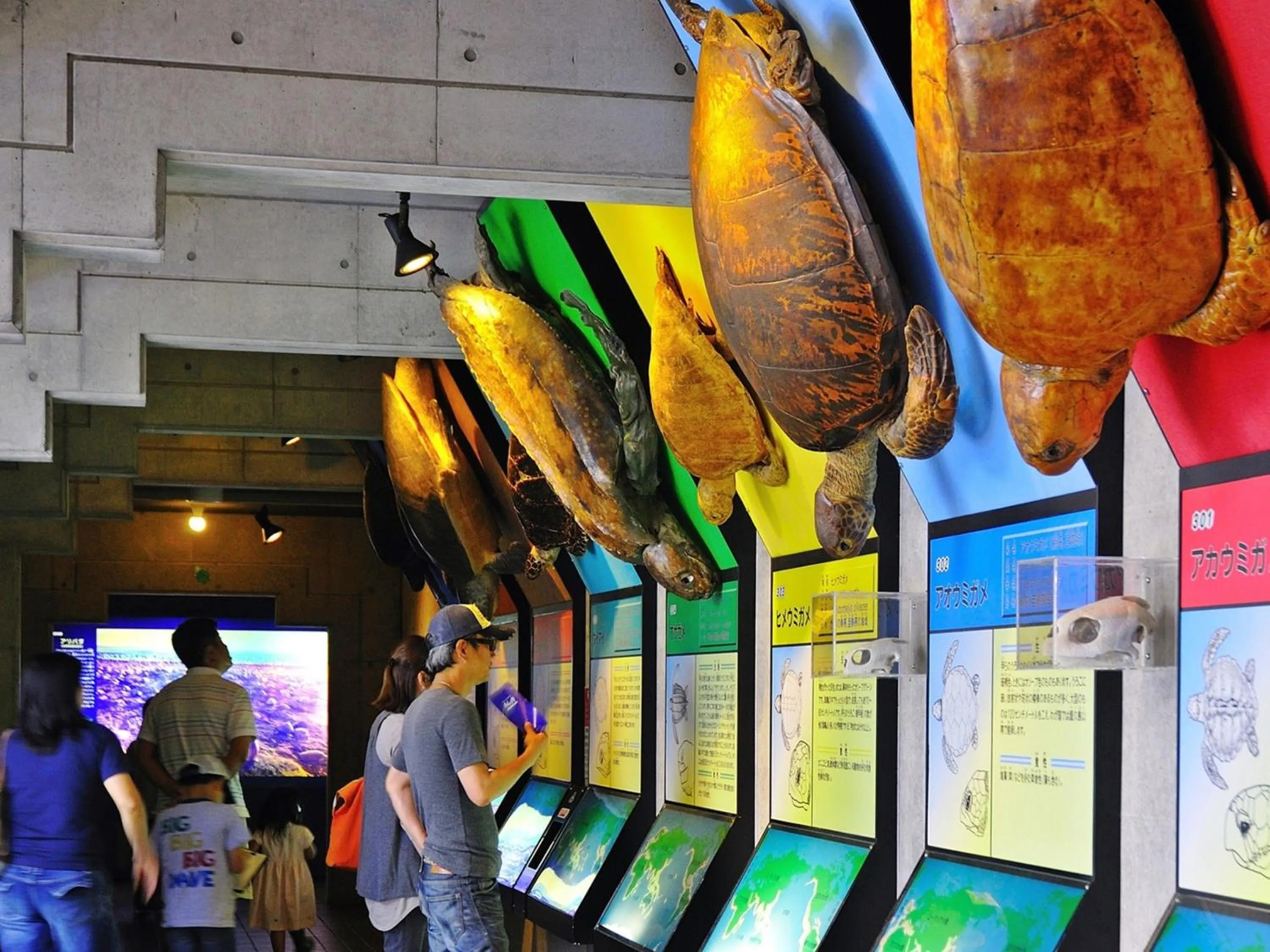 Nearby landmark in momijigawa onsen