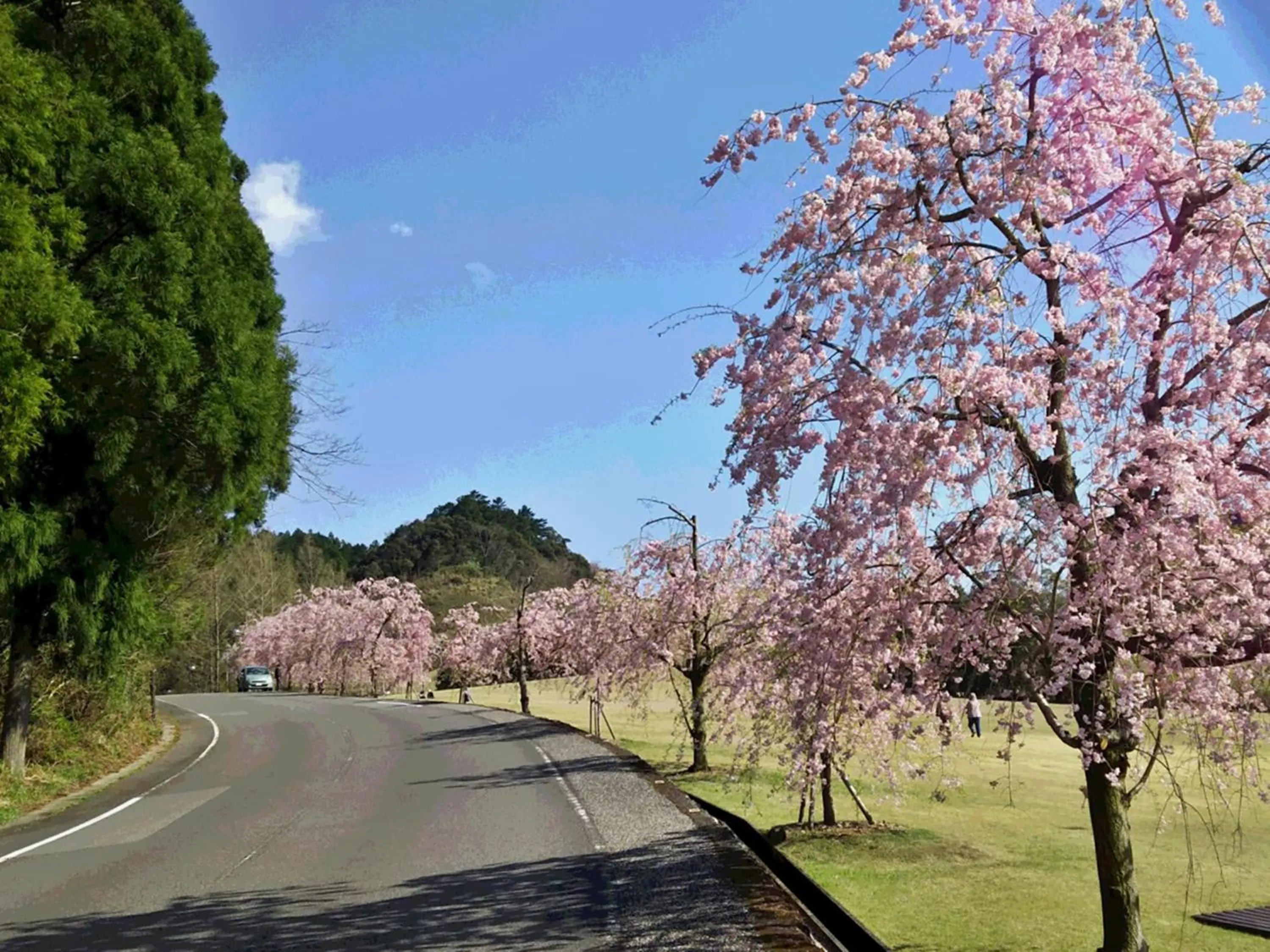 Off site in momijigawa onsen