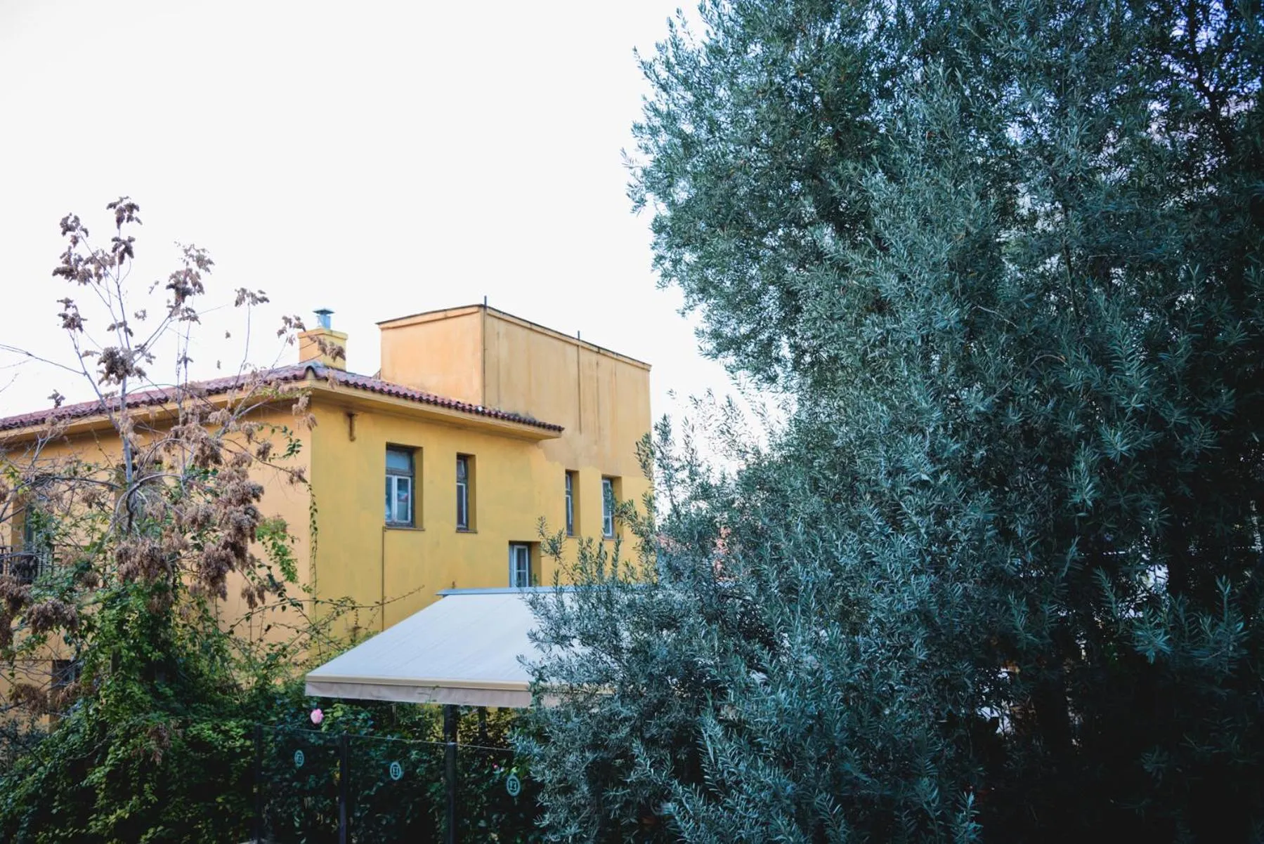 Neighbourhood in Plaka Heart