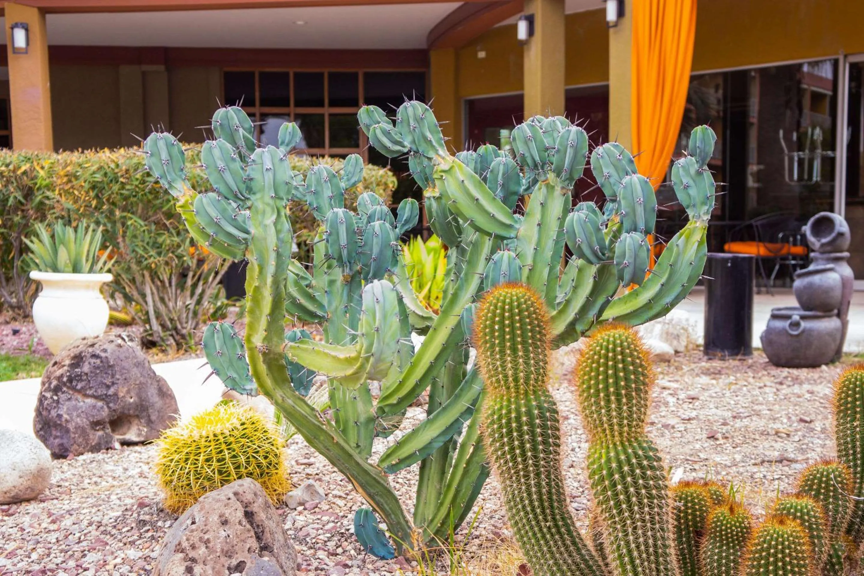 Other in Hotel Tucson City Center, an Ascend Hotel Collection Member