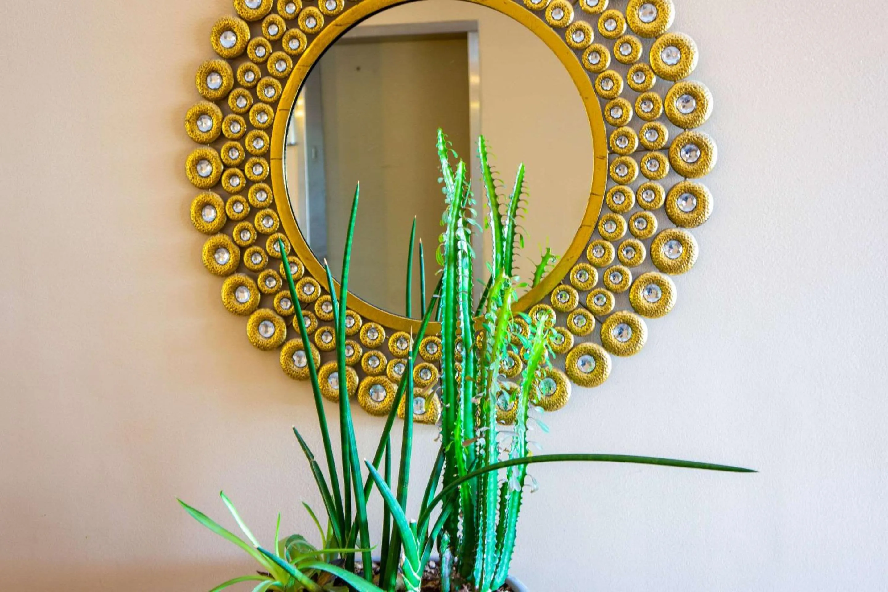 Other in Hotel Tucson City Center, an Ascend Hotel Collection Member