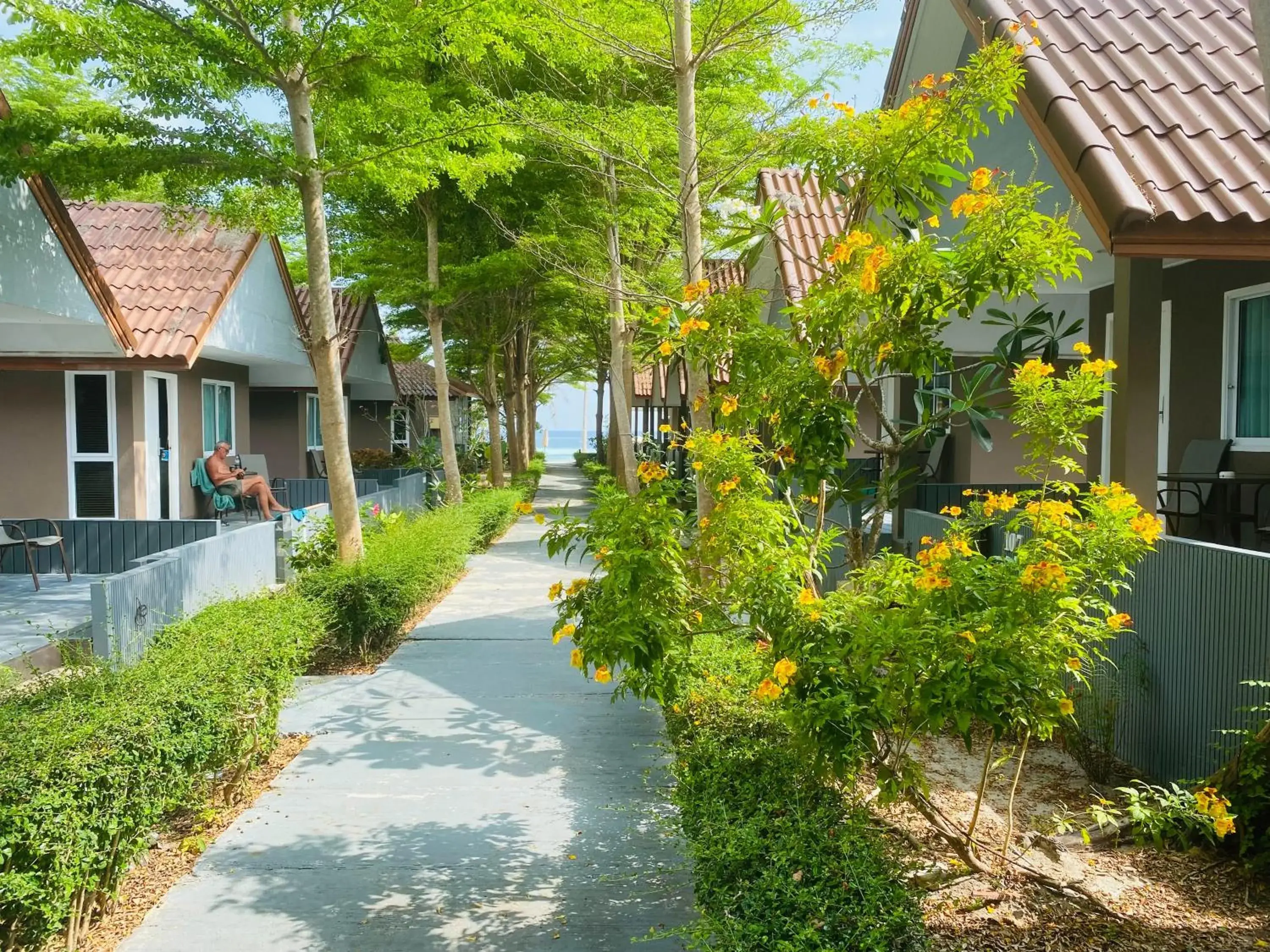 Garden view in Bella Vista Beach Resort Koh Lipe Garden view in Bella Vista Beach Resort Koh Lipe