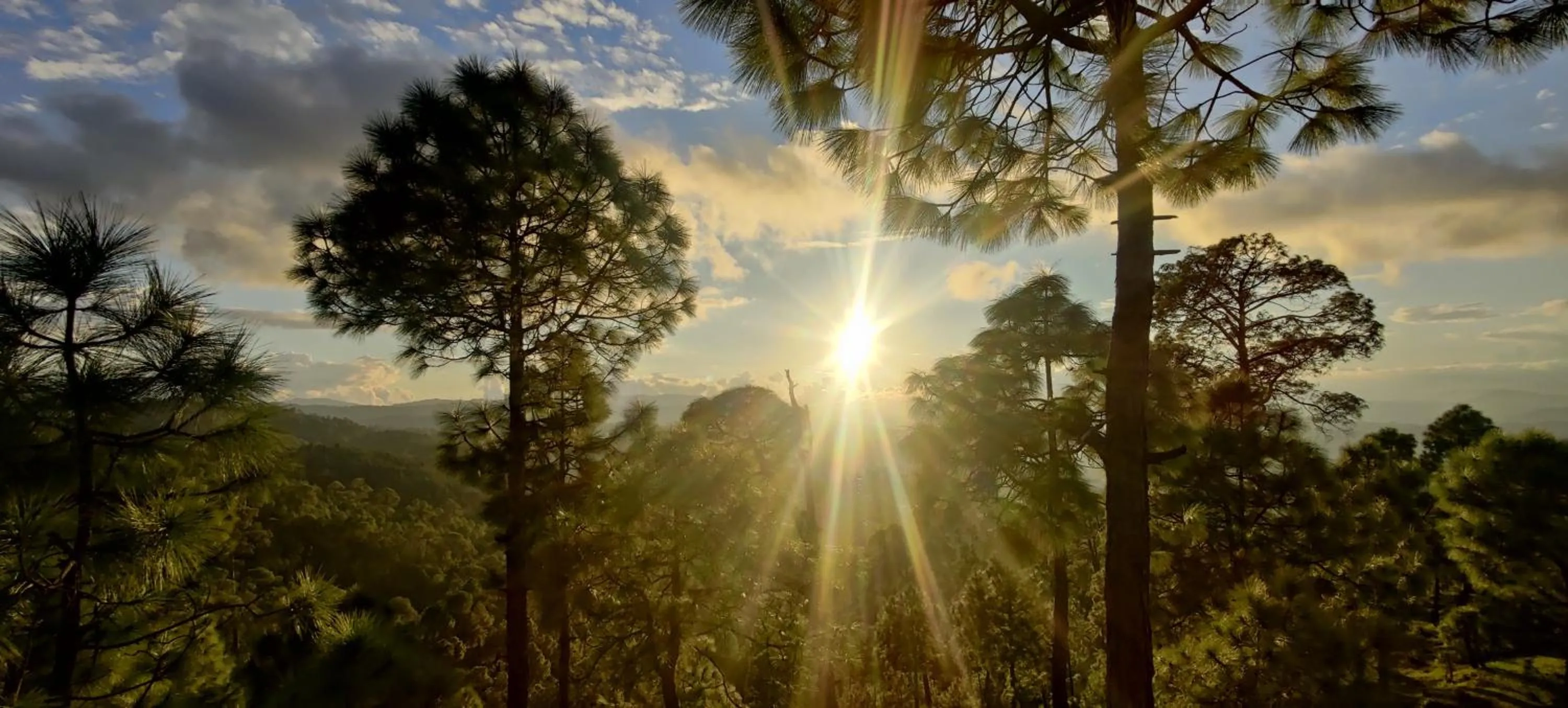 Natural landscape in Majkhali Woods, Ranikhet, By Himalayan Eco Lodges