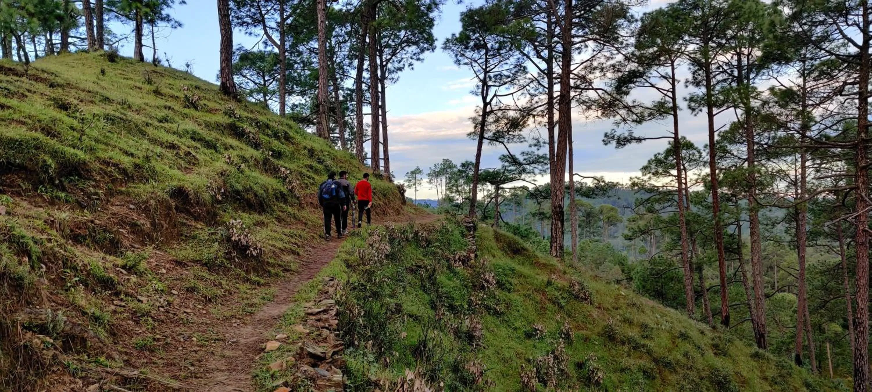 Hiking in Majkhali Woods, Ranikhet, By Himalayan Eco Lodges
