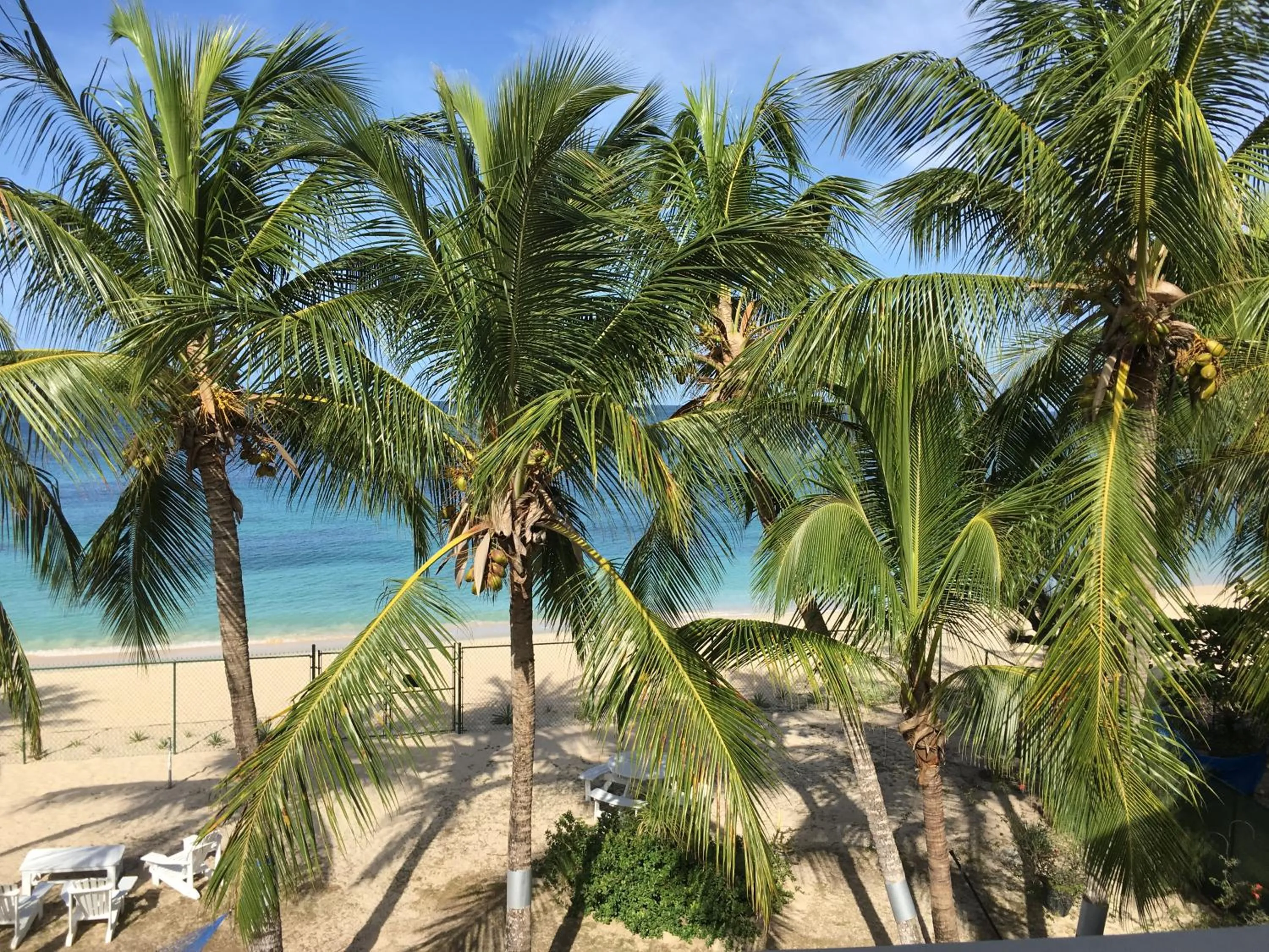Beach in Tantalus Villa