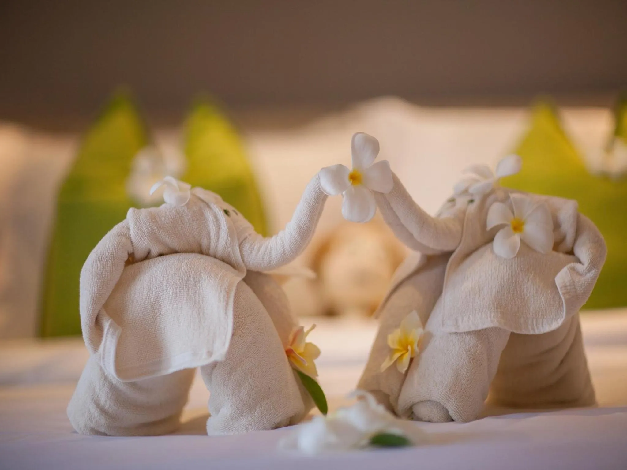 bunk bed in Ploen Chaweng by Tolani