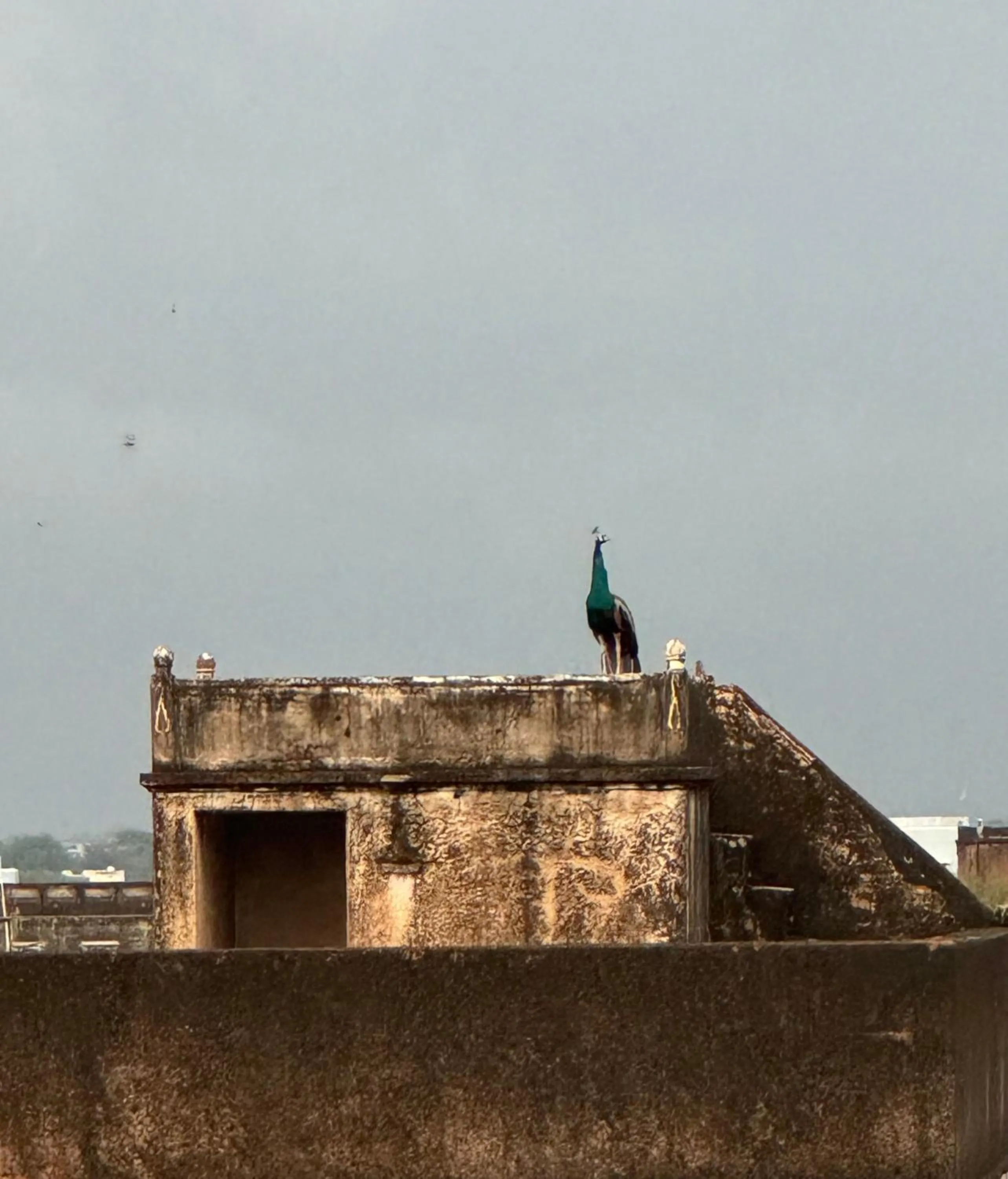 Mandawa Kothi