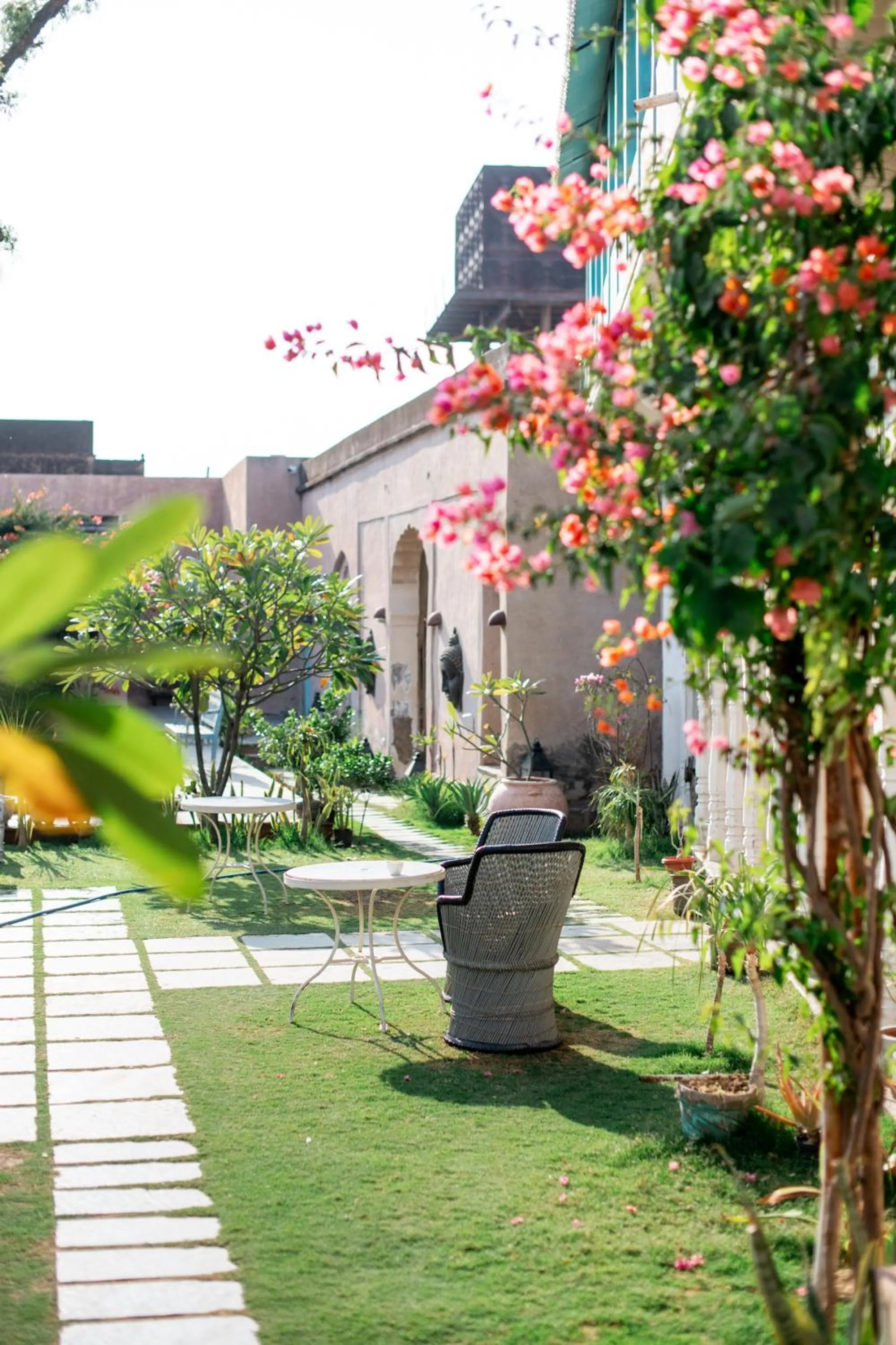 Garden in Mandawa Kothi