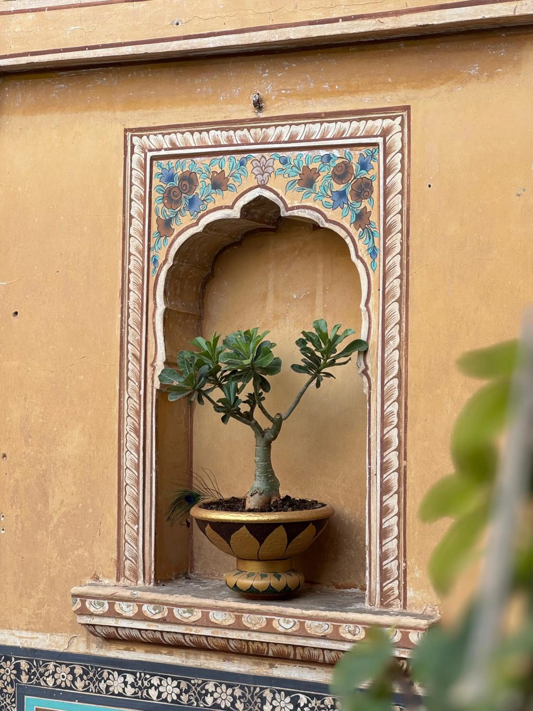 Inner courtyard view in Mandawa Kothi