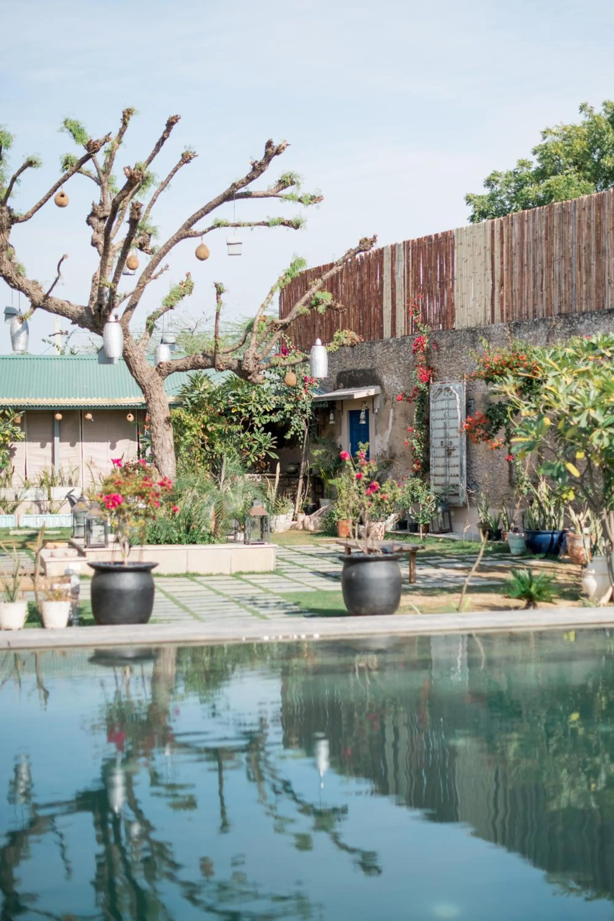 Pool view in Mandawa Kothi